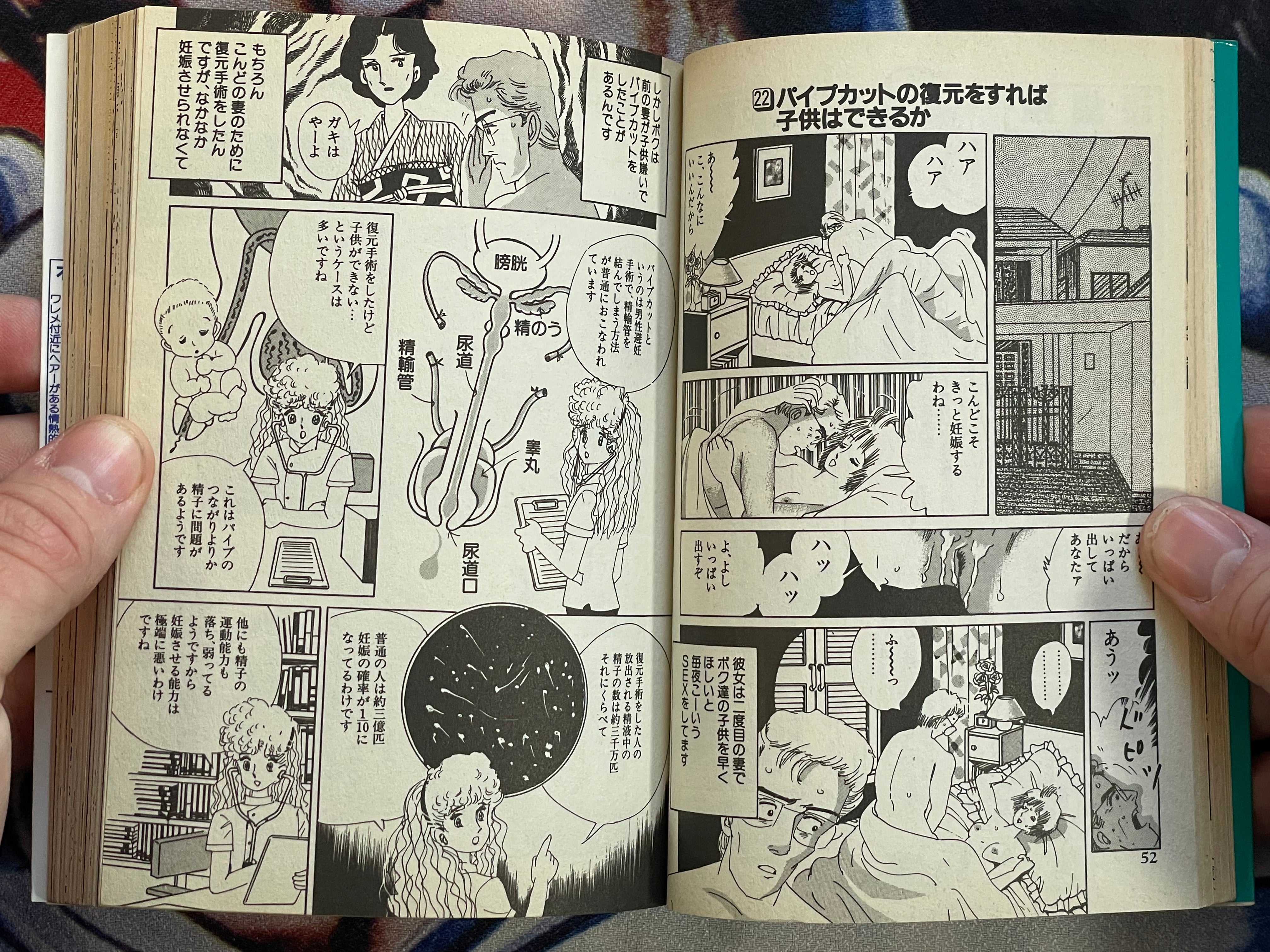Iron Man of Sex by Yumeji Tanima (1995)