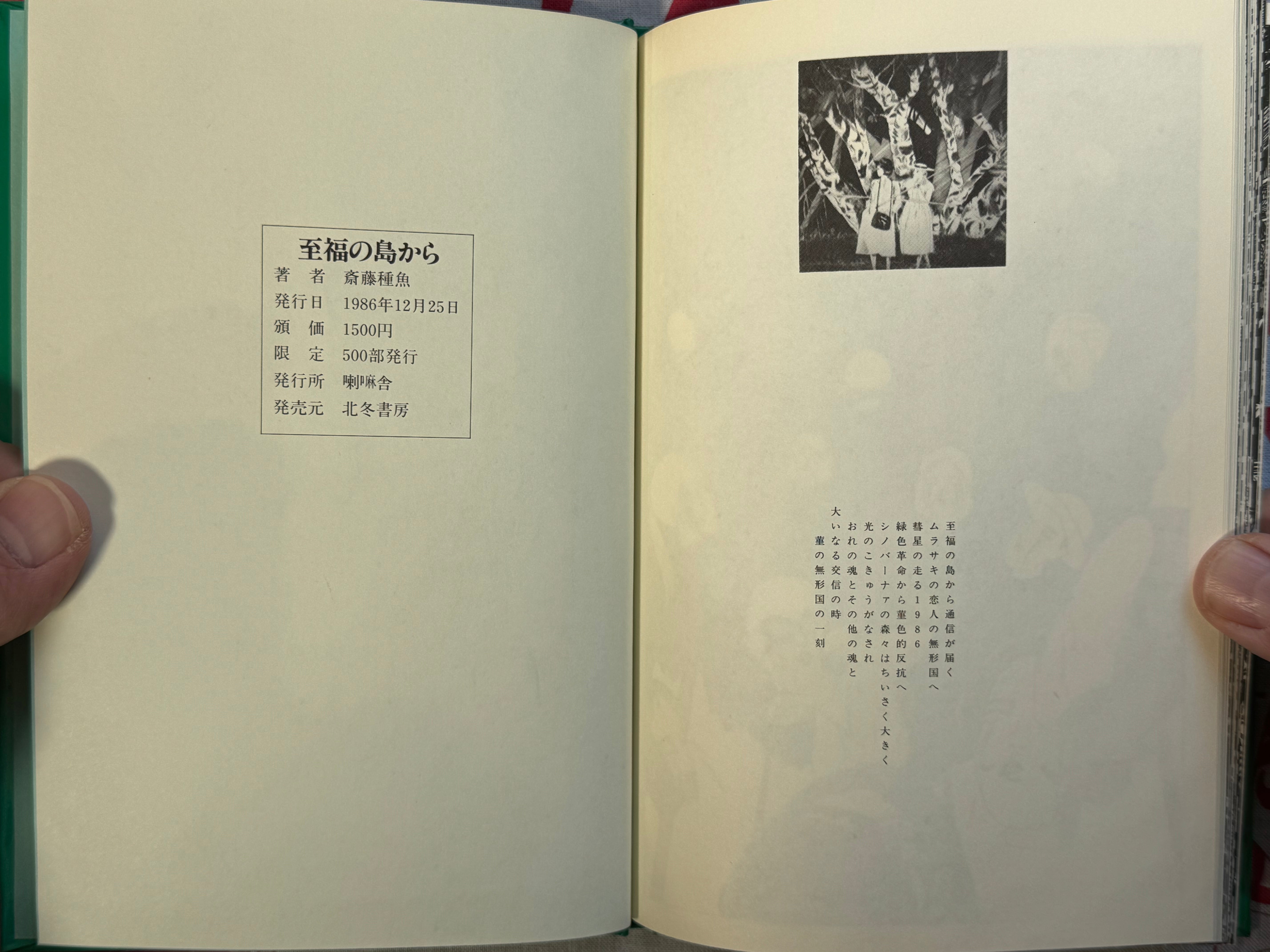 From the Isle of Bliss by Tanezakana Saito (1986)