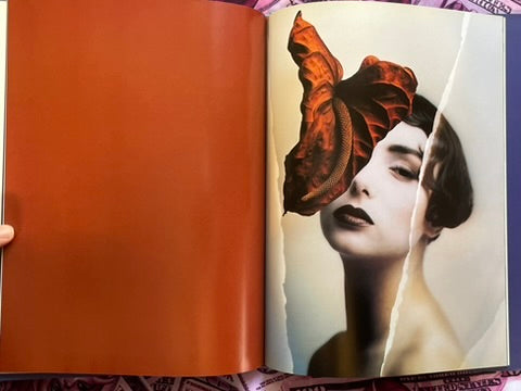 Abyss - Hardcover by Hiroshi Nonami (1993)