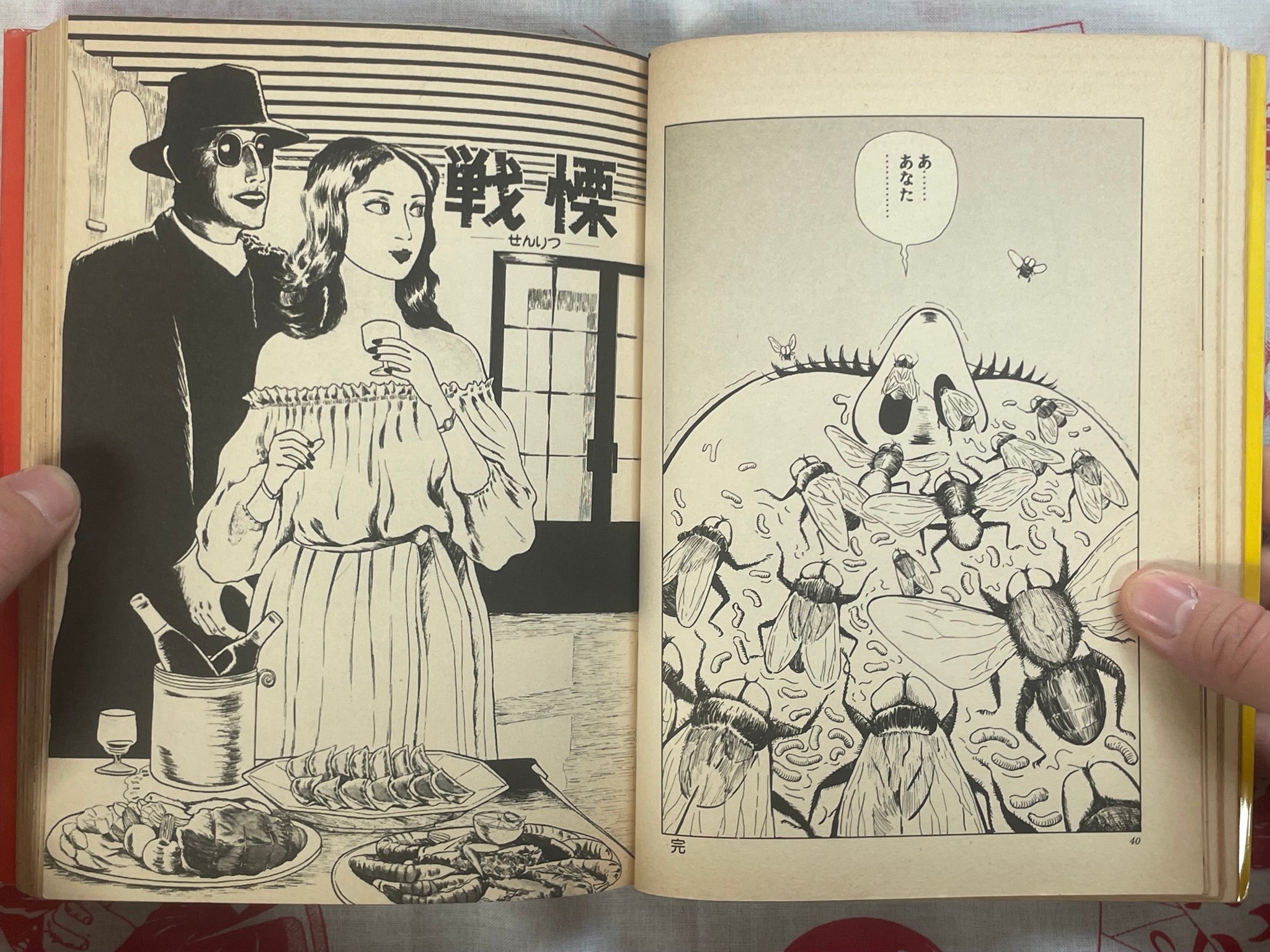 Cosmos Hill by Hiromi Hiraguchi (1978)