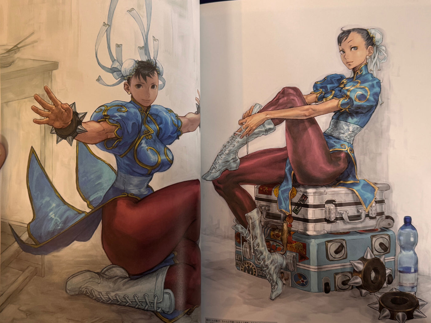 CAPCOM Street Fighters Art Works Supremacy (2009)
