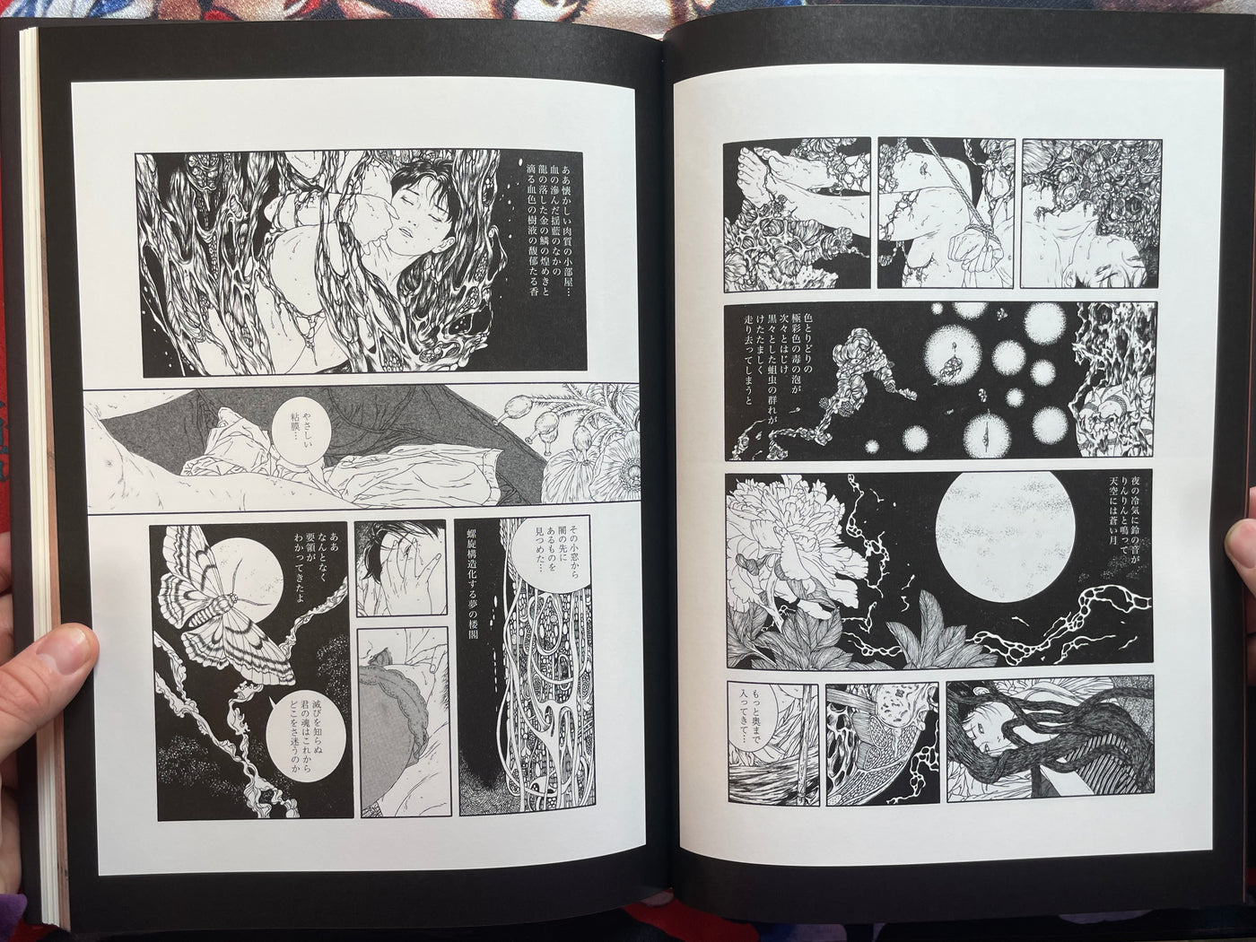 SIGNED Nosferatu - Hardcover by Yamamoto Takato (2018)