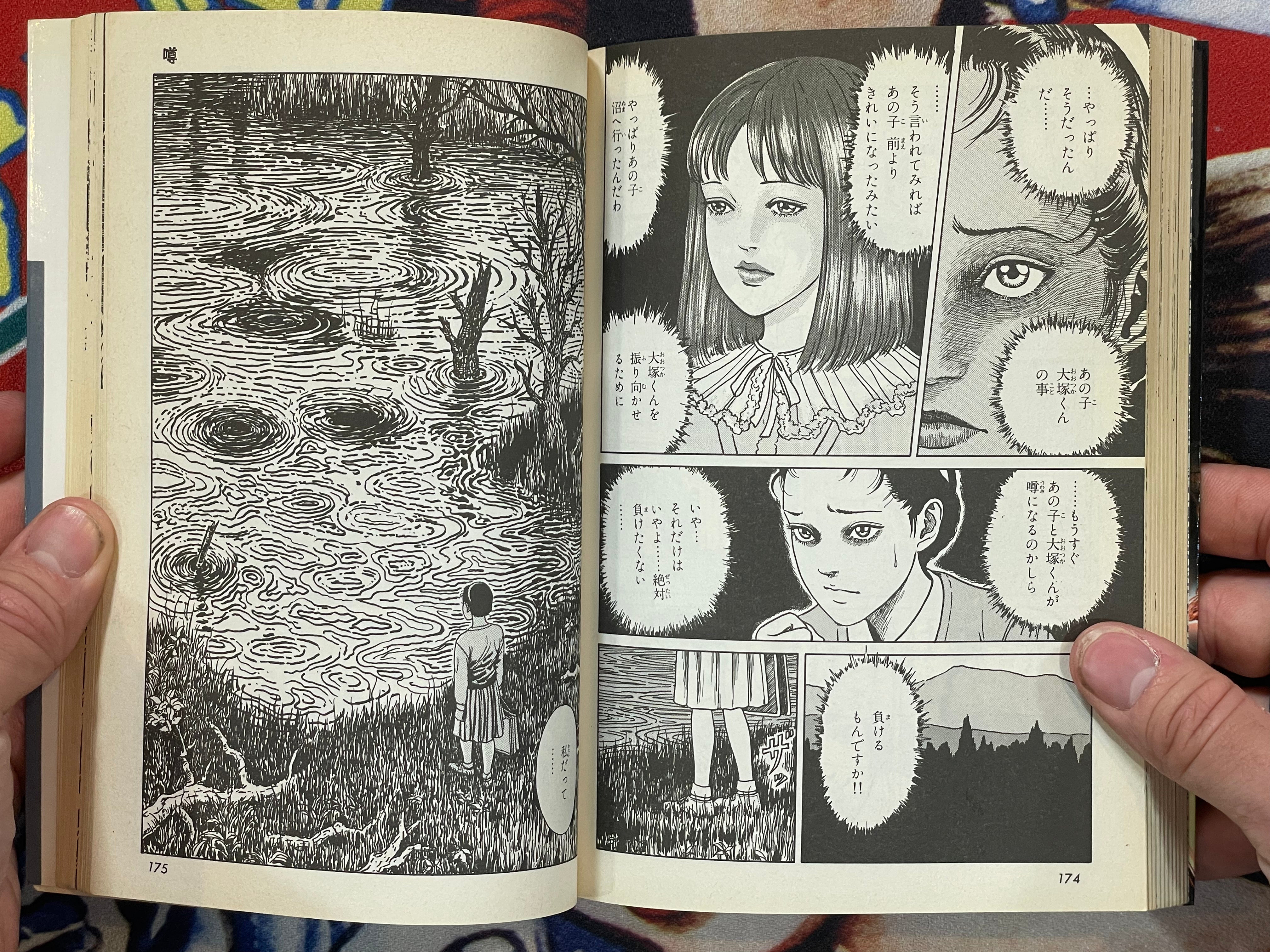 The Horror World of Junji Ito Collection #6: Soichi's Cursed Dairy (2000)