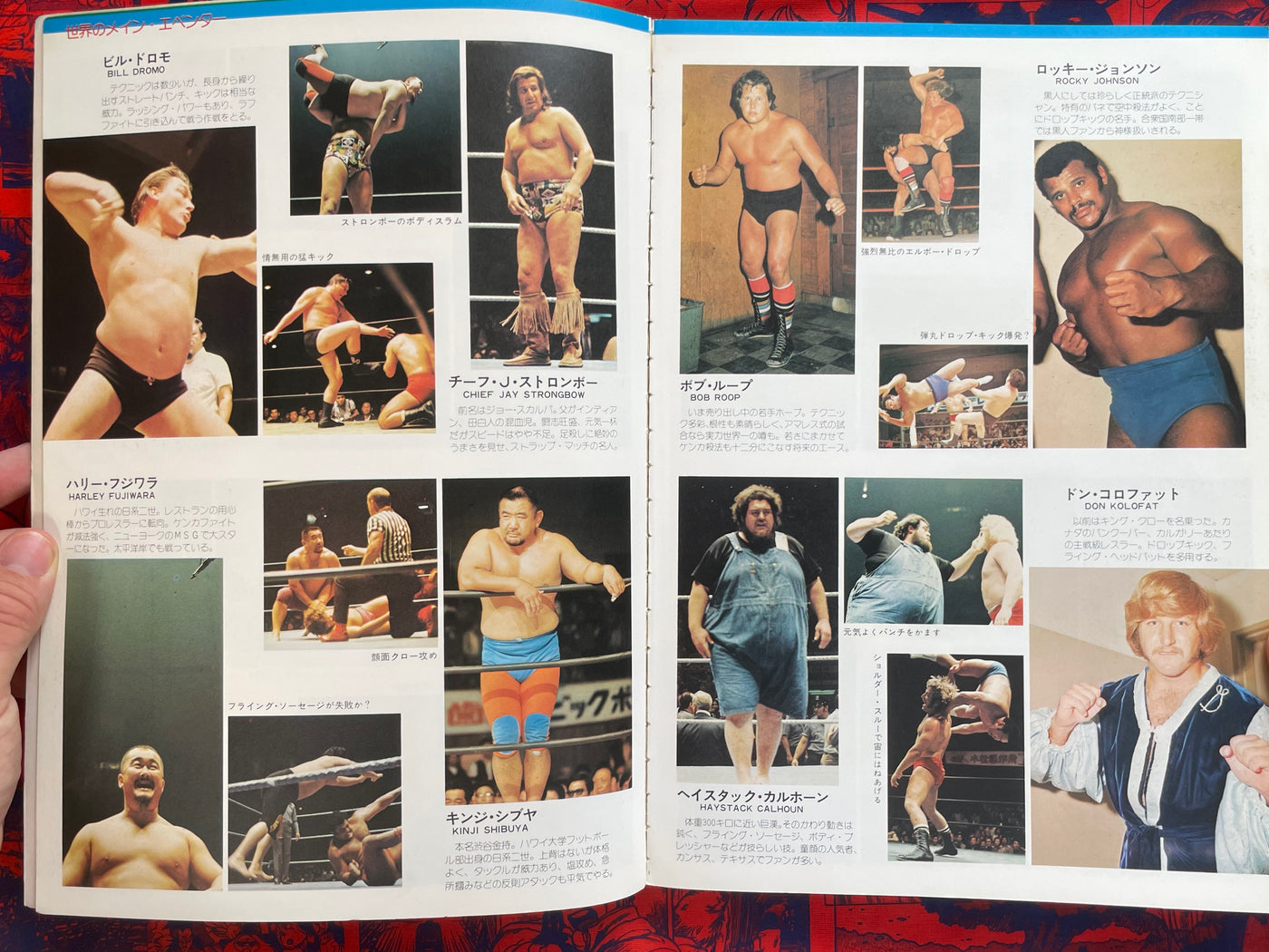 Pictorial History of Pro-Wrestling in Japan (1975)