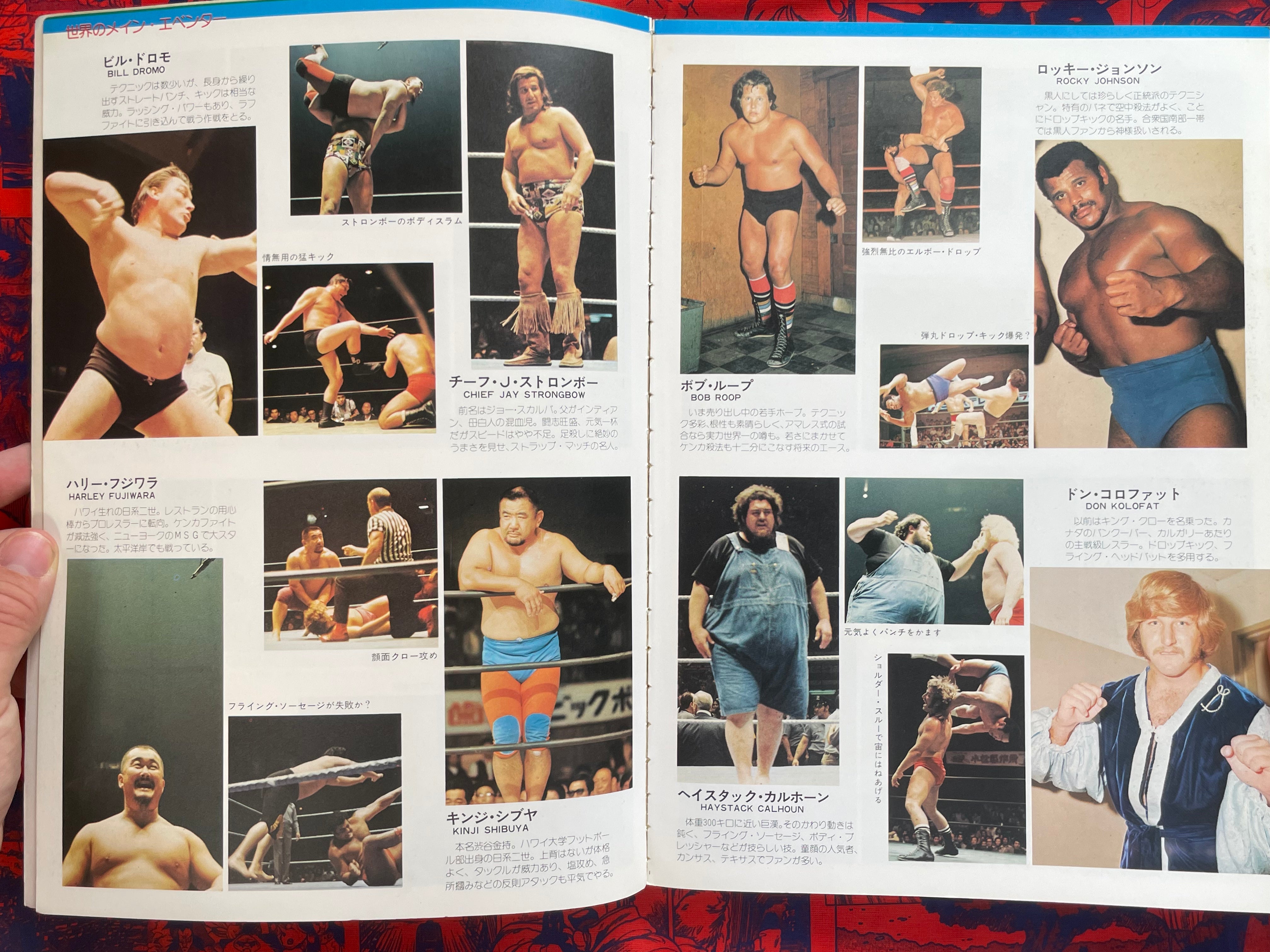 Pictorial History of Pro-Wrestling in Japan (1975)