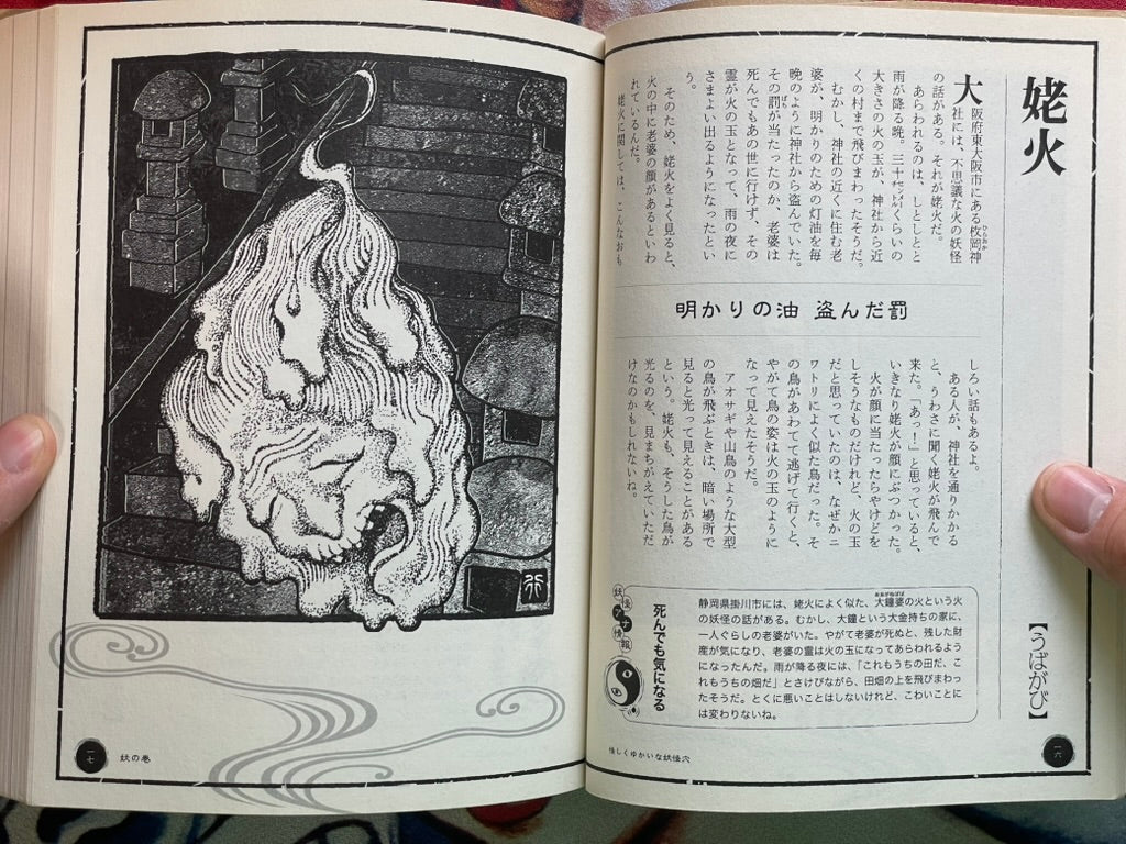 Yokai Hole by Kenji Murakami & Shinbun Udagawa & Yukio Amano (2011)