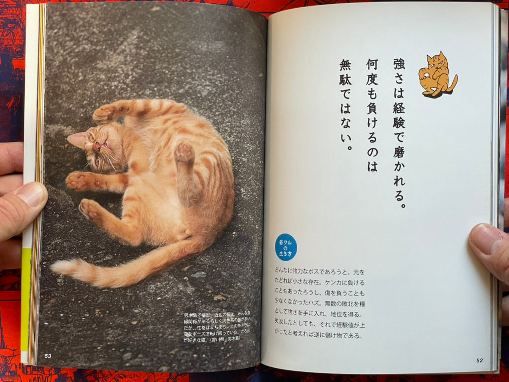 I'm A Bad Cat by Minamihaba Shunsuke (2016)