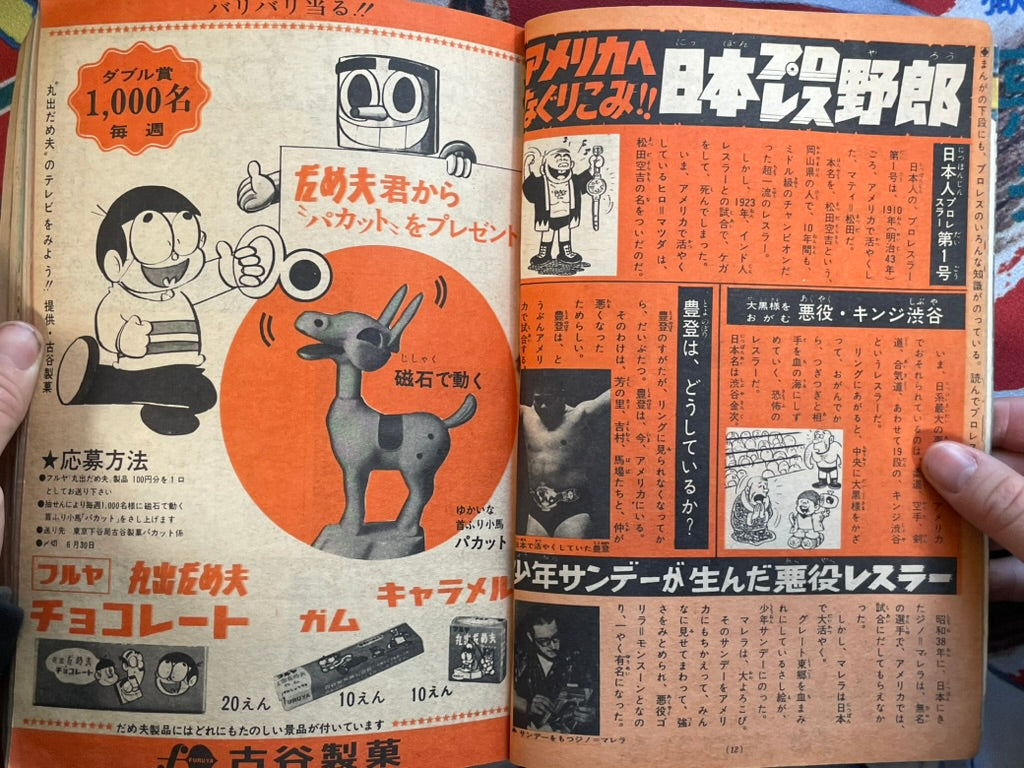 Weekly Shonen Sunday Magazine Vol. 17 (5/1966)