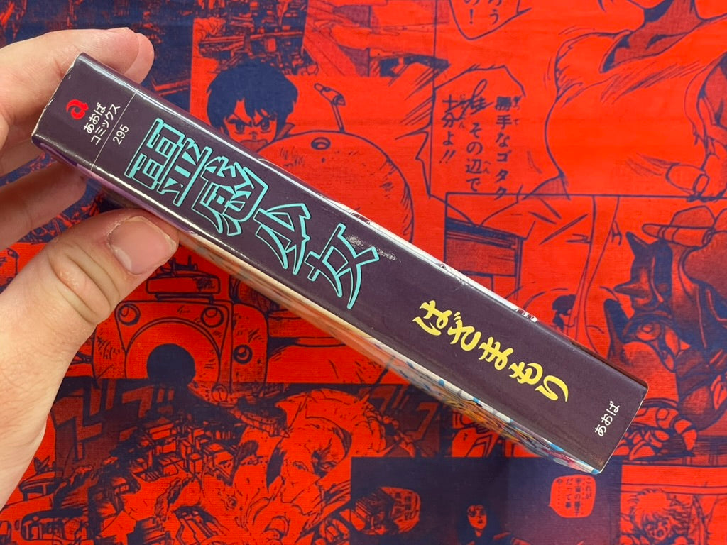 Spirit Girl by Hazama Mori (2003)