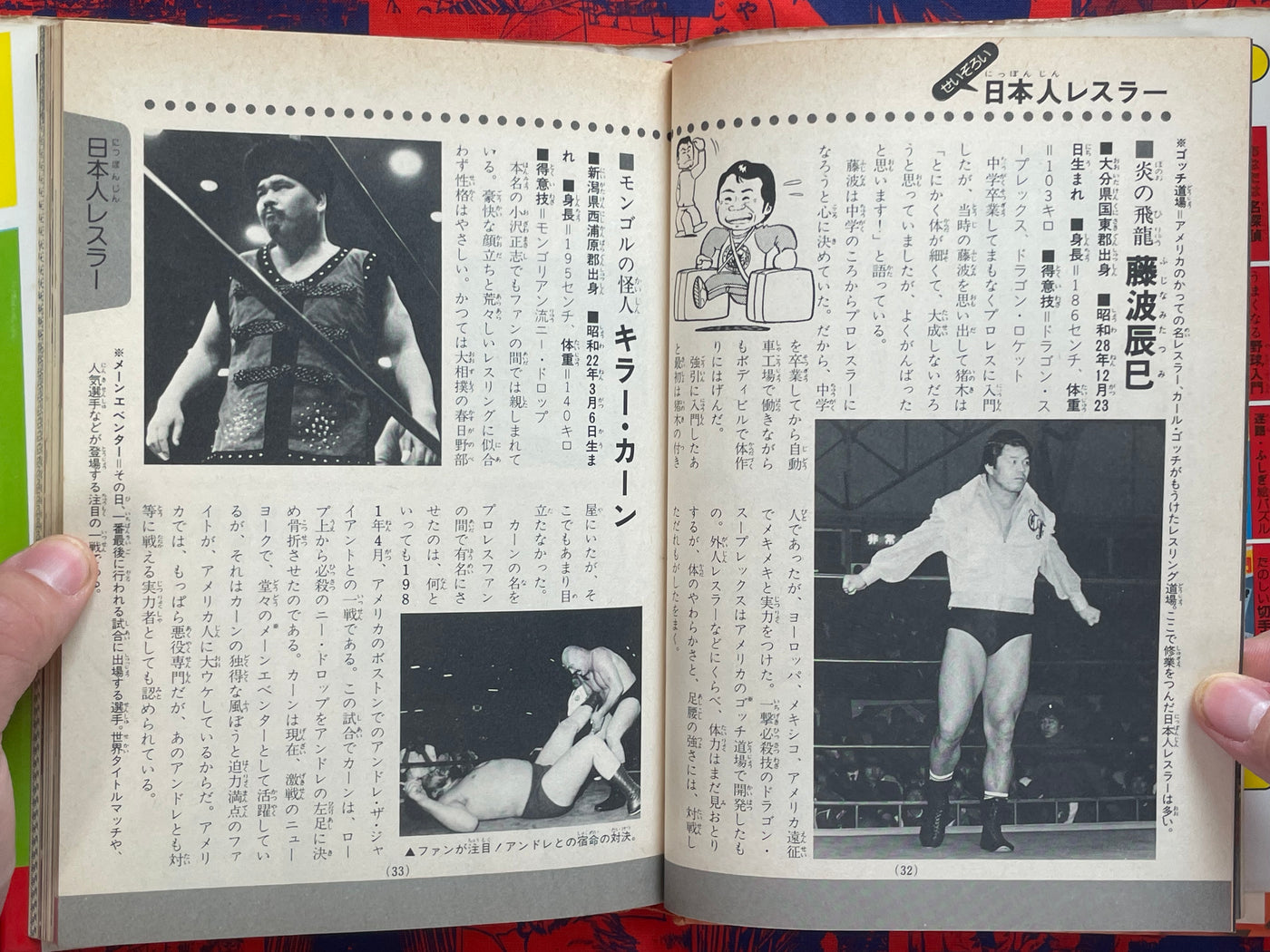 Pro Wrestling Surprise Encyclopedia - Hardcover by Big Wrestler (1982)