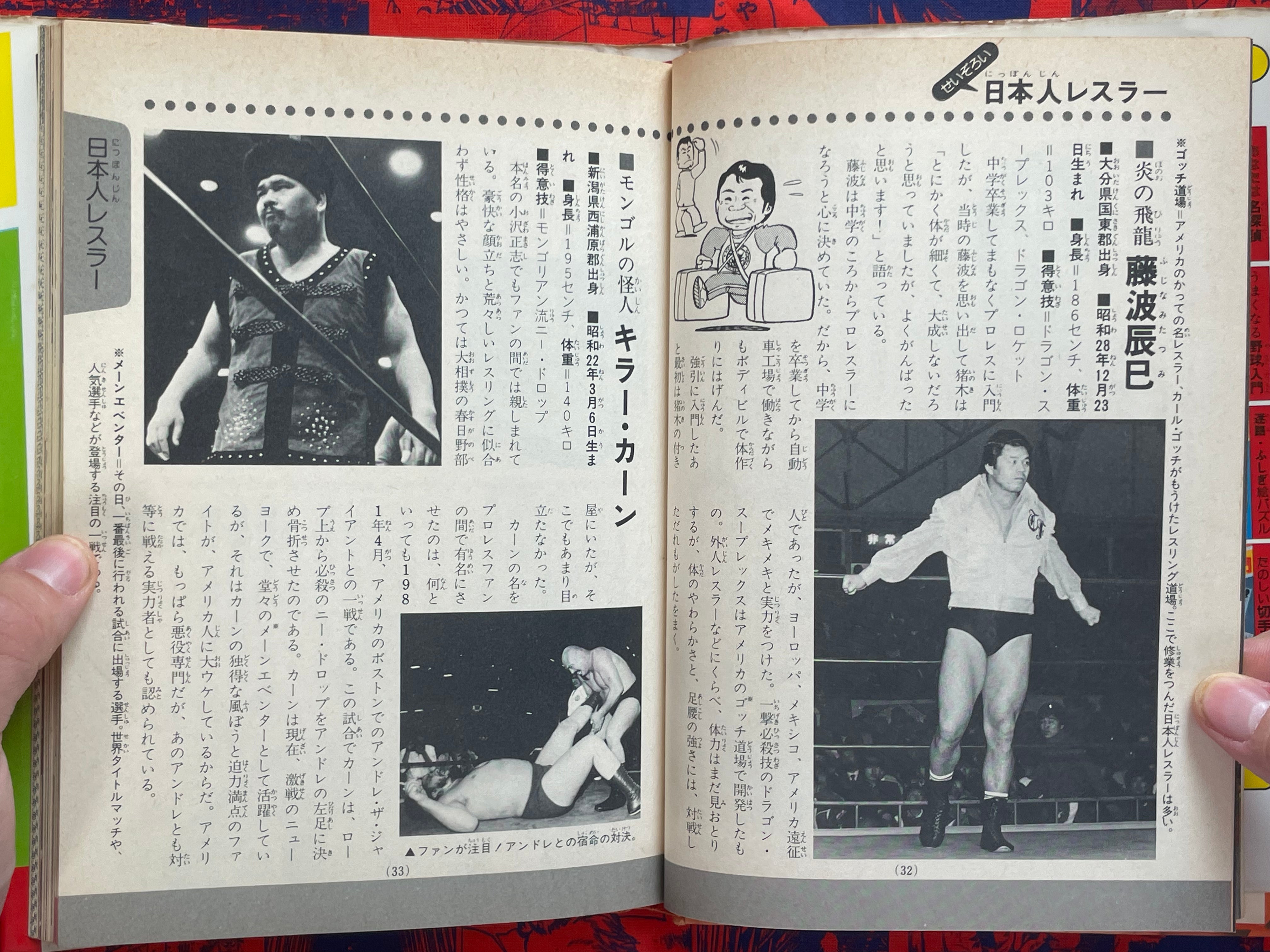 Pro Wrestling Surprise Encyclopedia - Hardcover by Big Wrestler (1982)