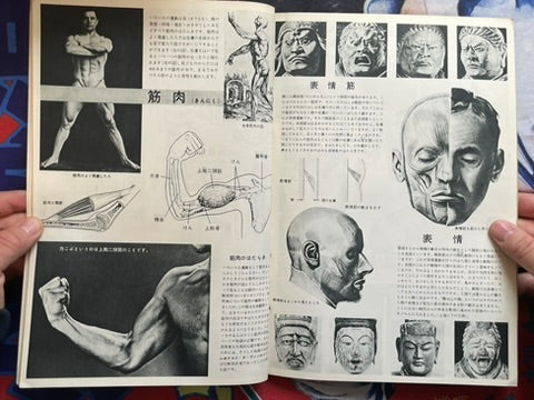 The Science Graph Vol. 7: Human Body Edition (1962)