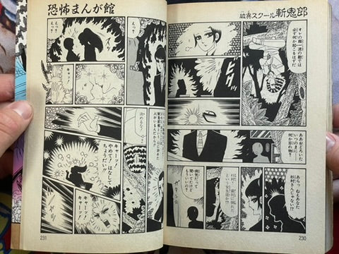 Dead Man's Bride by Koga Shinnichi, Hino Hideshi, Maya Mineo (1986)