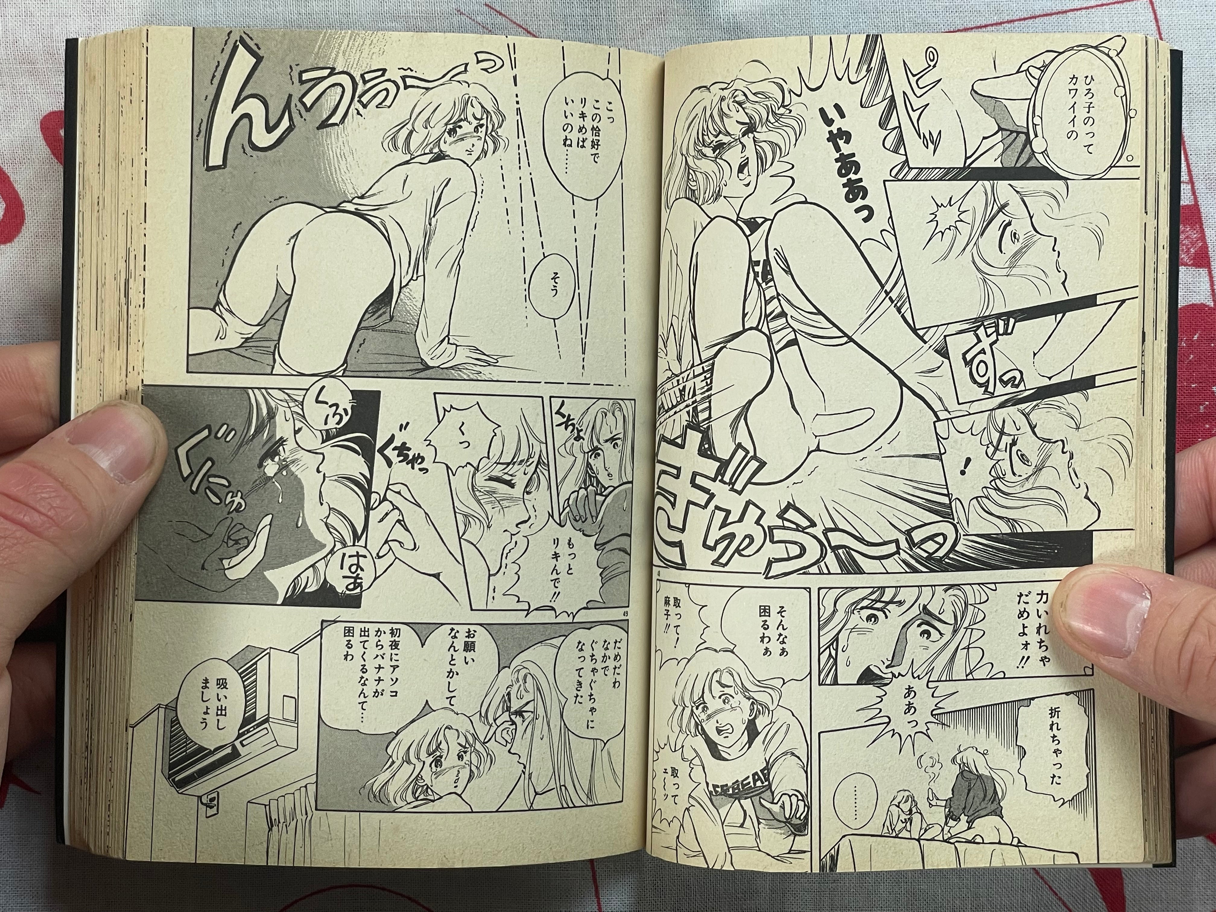 Heart Pounding Lesson - bunko size by Sakabe Noriko (1994)