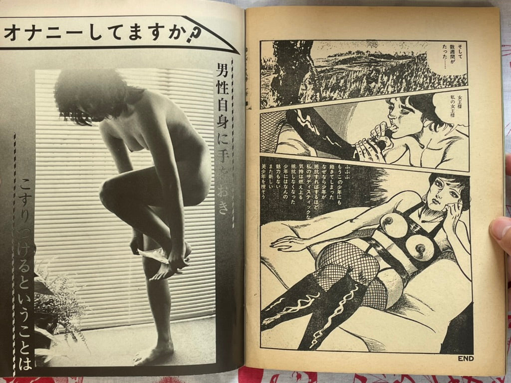 Secret Report (1970s)