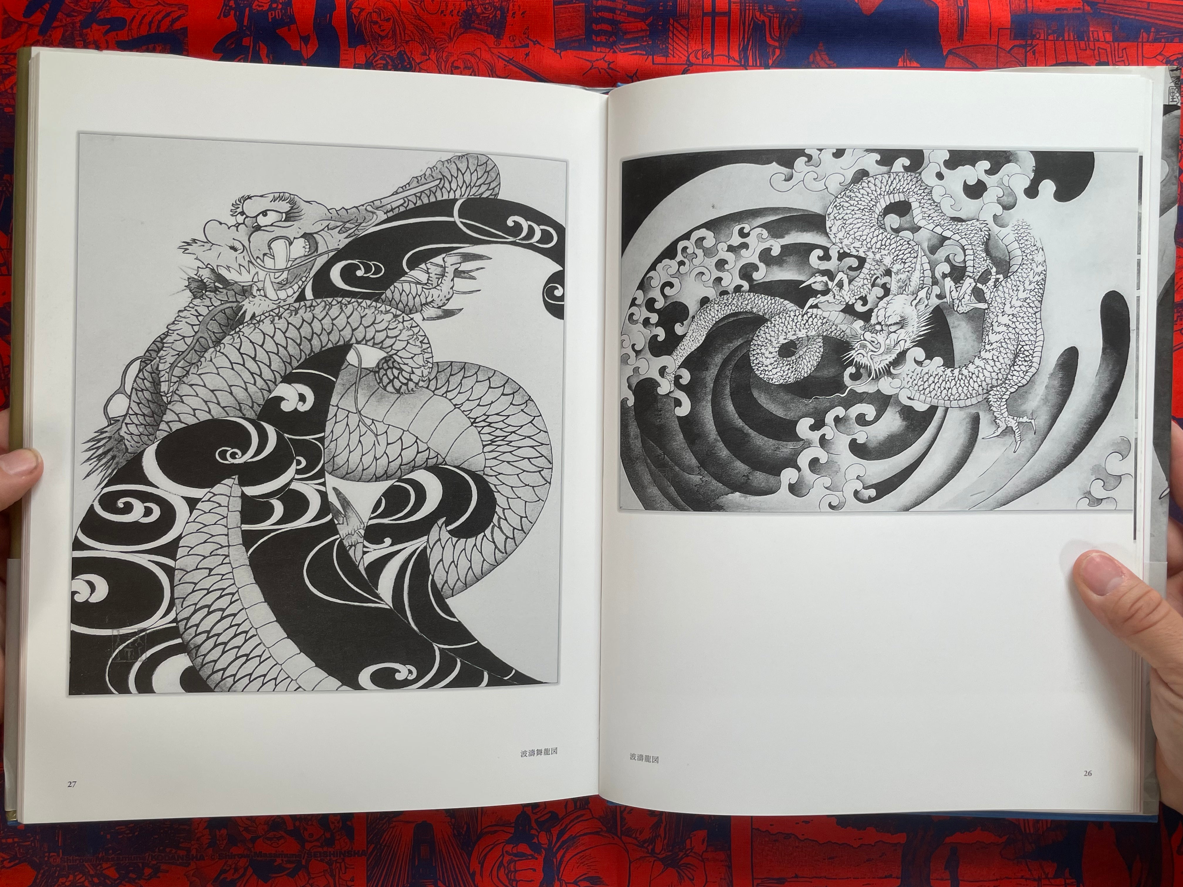Tansai: Art of 100 Dragons - hardcover by Terano Tansai (2011)