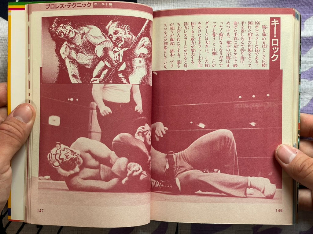 Pro Wrestling Finishing Move Technique by Big Wrestler (1984)