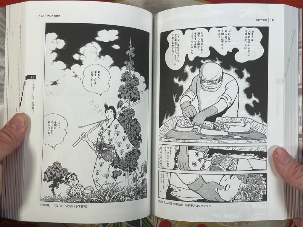 The Manga Age: Everything from Tezuka Osamu to Evangelion (1998)