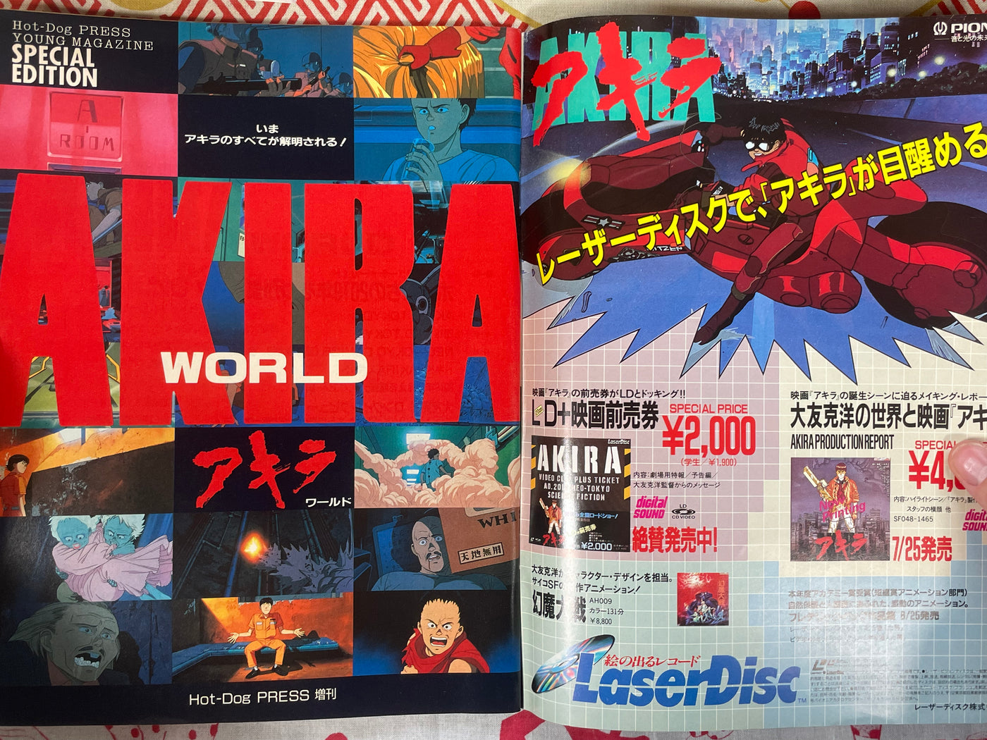 Akira World by Hot Dog Press (1988/7)