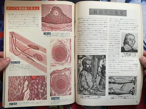 The Science Graph Vol. 7: Human Body Edition (1962)