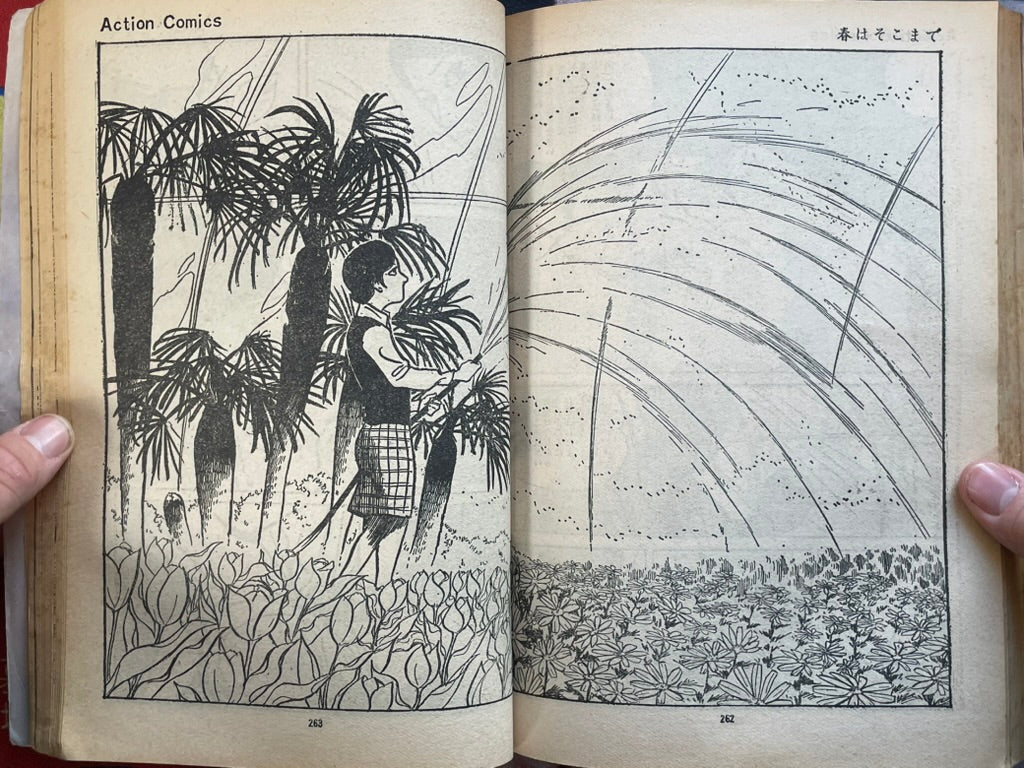 Action Comics: Cohabitation Period by Kazuo Uemura (1973)