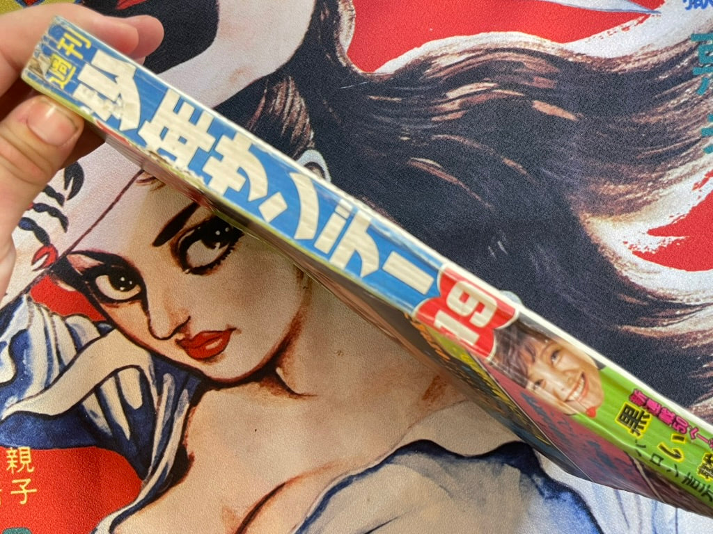 Weekly Shonen Sunday Magazine Vol. 19  Black Eagle First Appearance (4/1973)