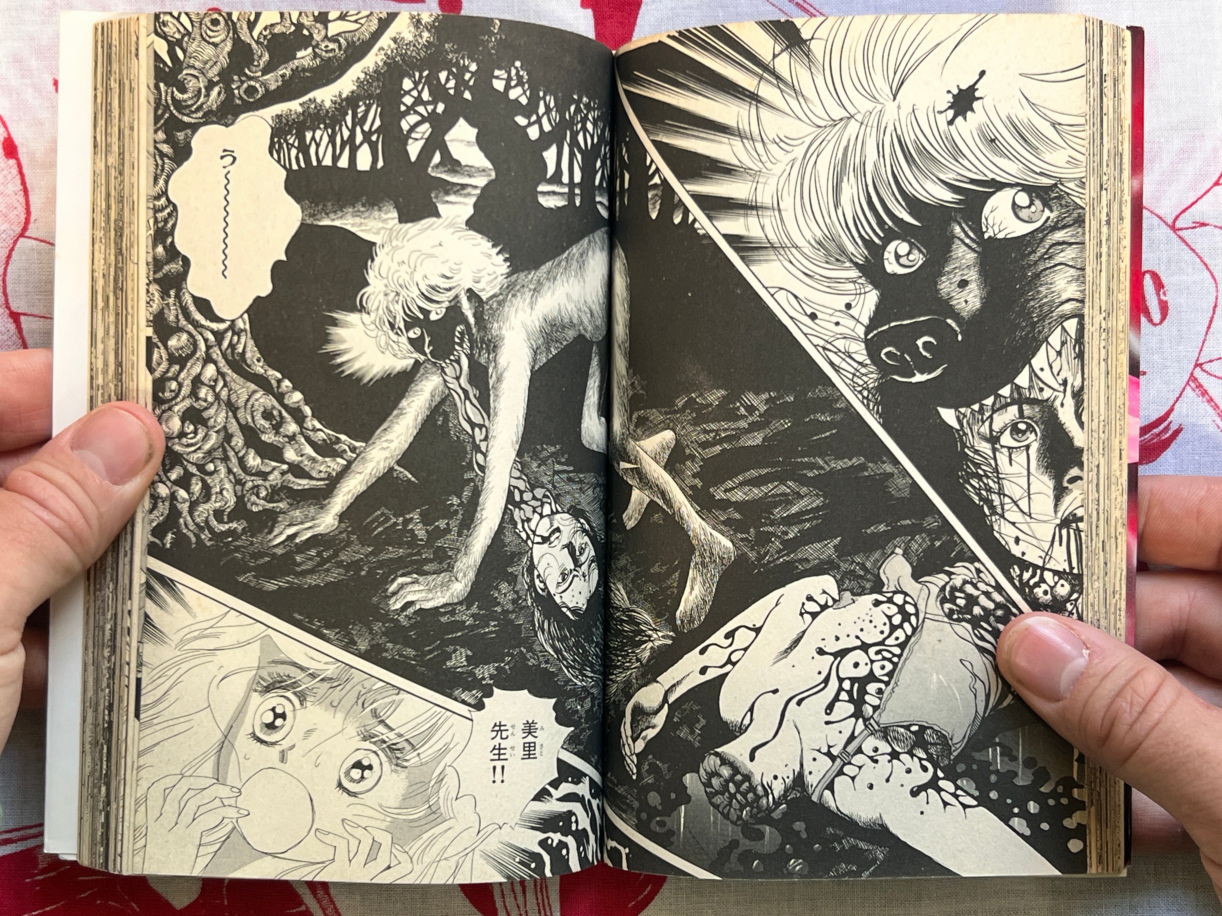 Scary Eyed Monster by Yumeji Tanima (1994)