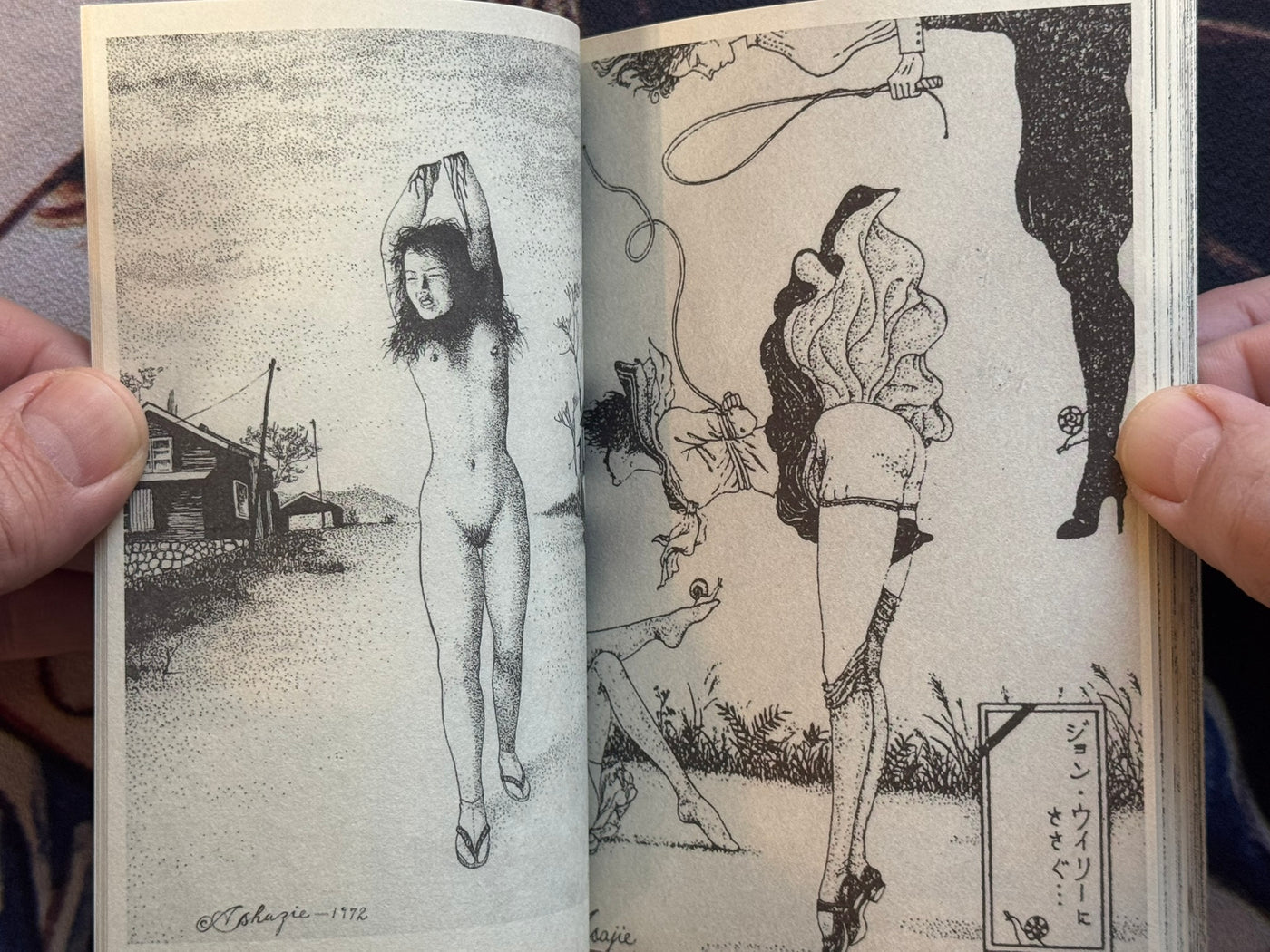 Life With Woman Dog (2004) Asaji Muroi (669/1000 Limited)