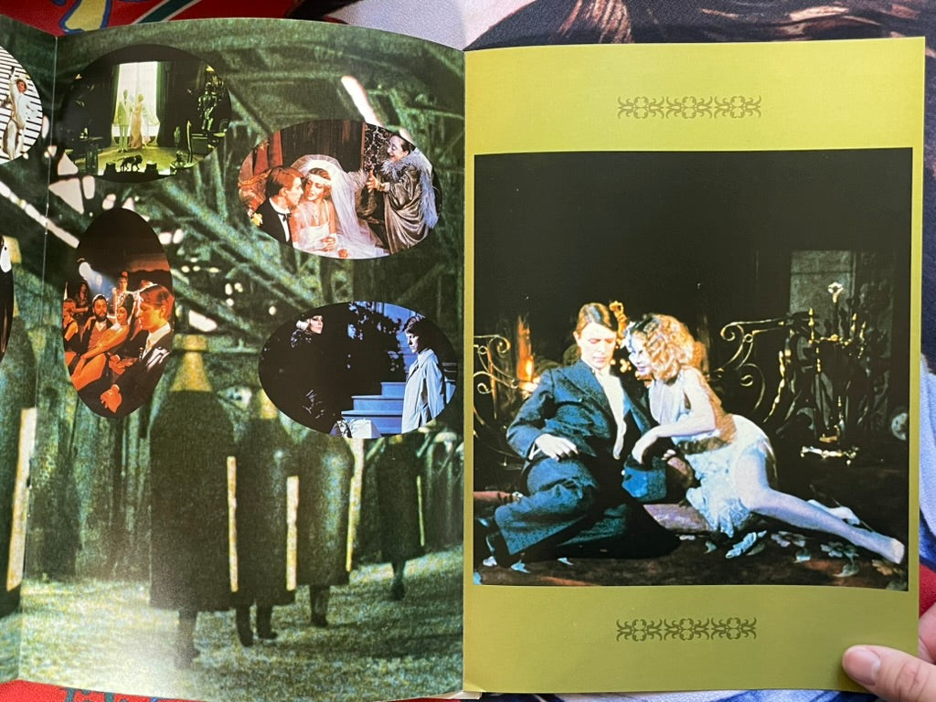 Just a Gigilo - Japanese Movie Pamphlet (1978)-thumbmail-5
