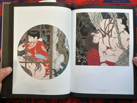 SIGNED Allure of Pharmakon by Yamamoto Takato - Hardcover + Slipcover (2023)