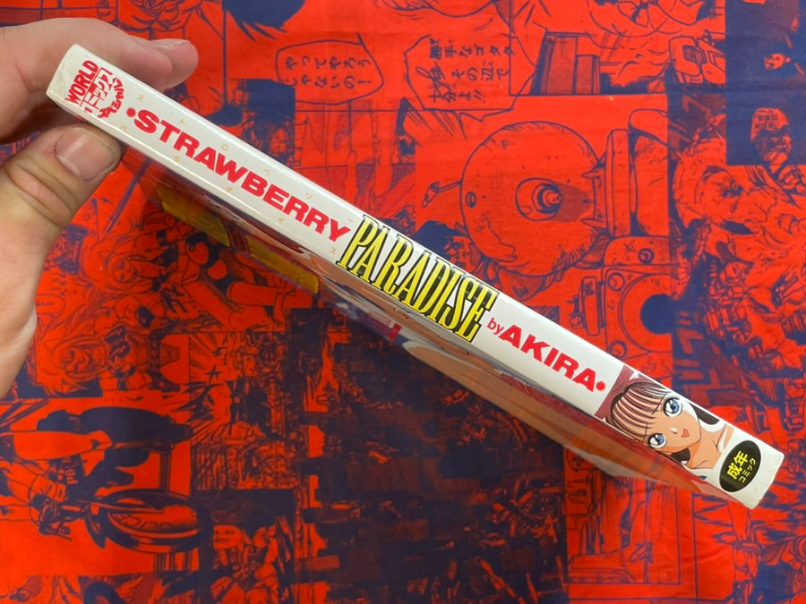 Strawberry Paradise by AKIRA (1995)