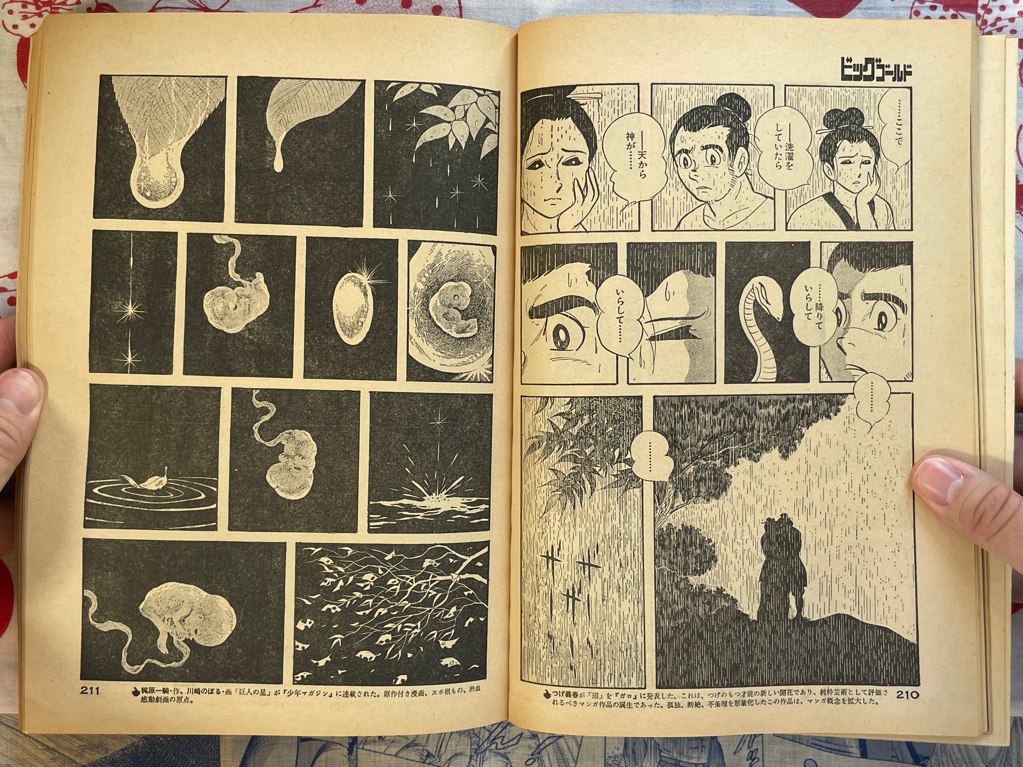 Big Gold No. 2 (Spring 1979)
