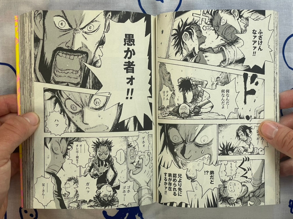 Evil Flowers: Fist of the North Star Jagi Side Story 1-2 Full Set by Shinichi Hiromoto (2009)-thumbmail-6