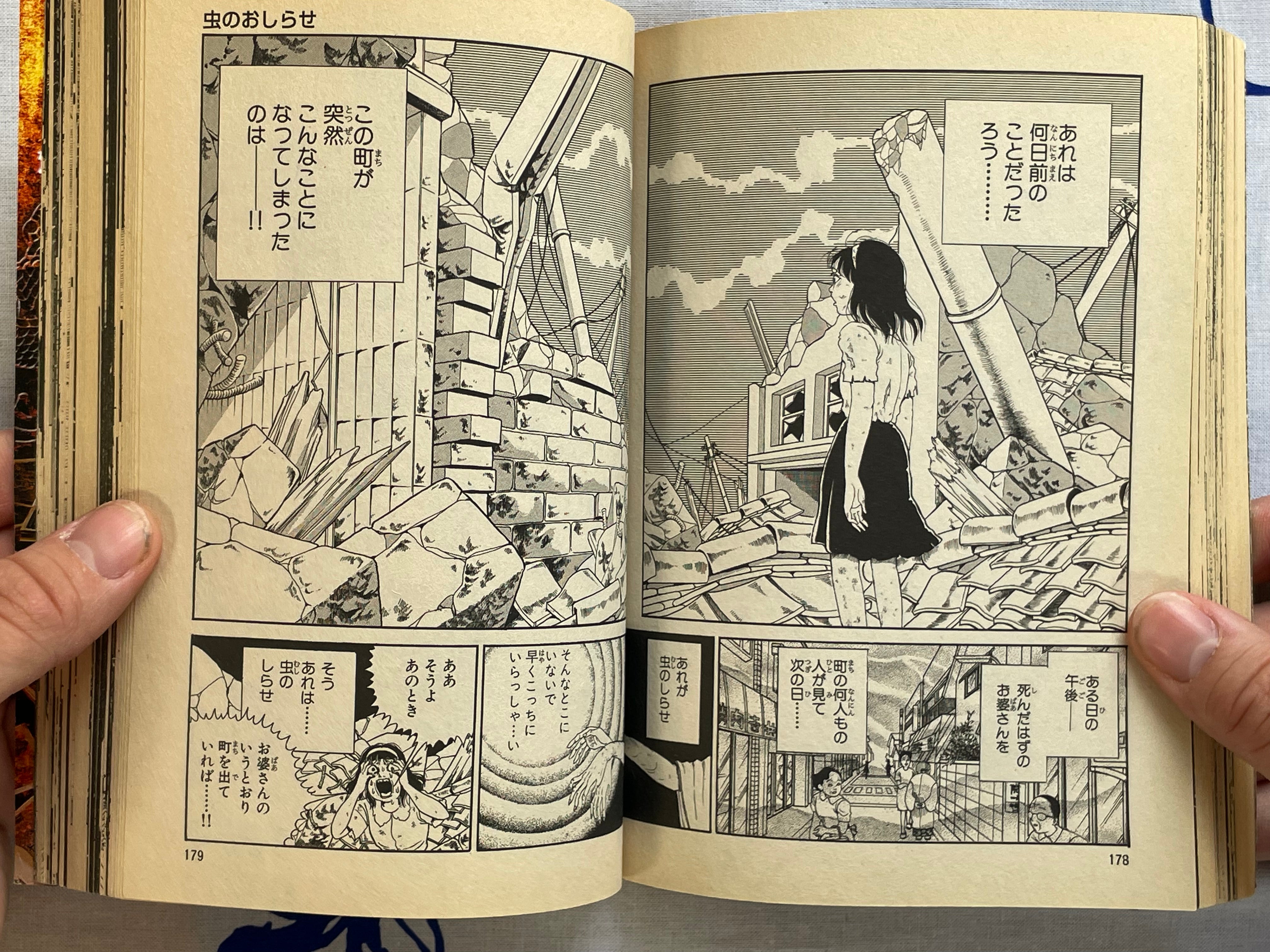 Visitor from Hell: Special Edition by Inuki Kanako, Noroi Michiru, Kuro (2005)
