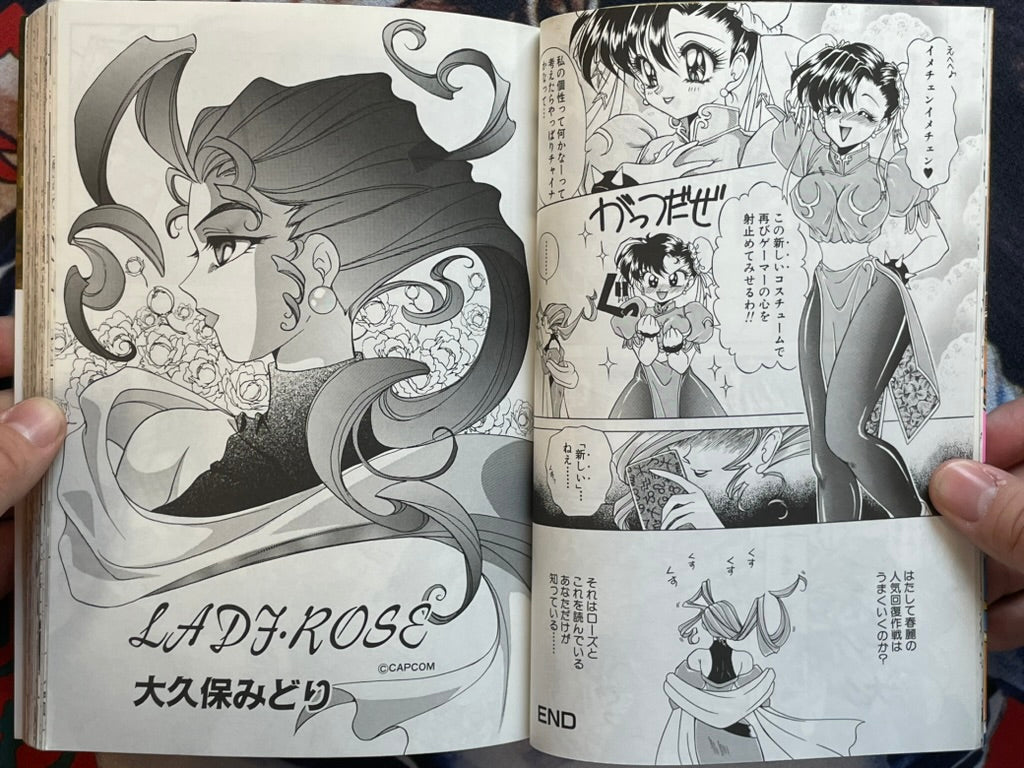 Street Fighter Zero 2 Vol. 1 (1996)-thumbmail-5