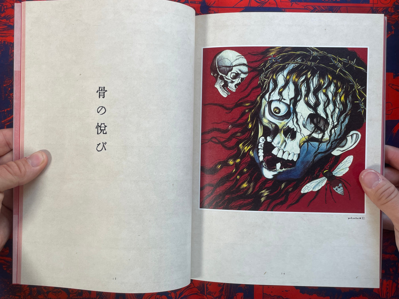 Maruo Graph EX II by Suehiro Maruo (2005)