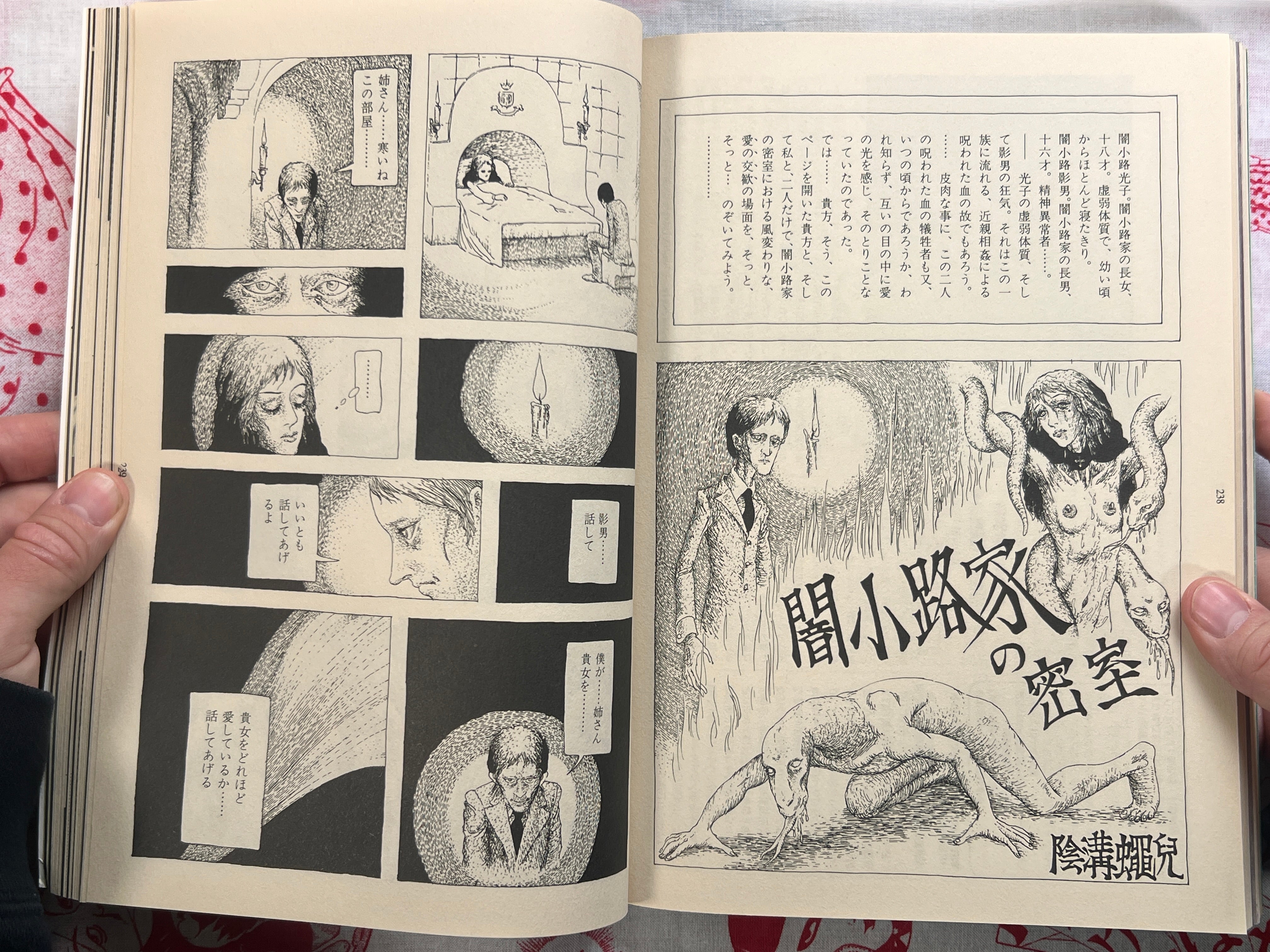 Garo Magazine Miyazawa Kenji Issue (9/1995)