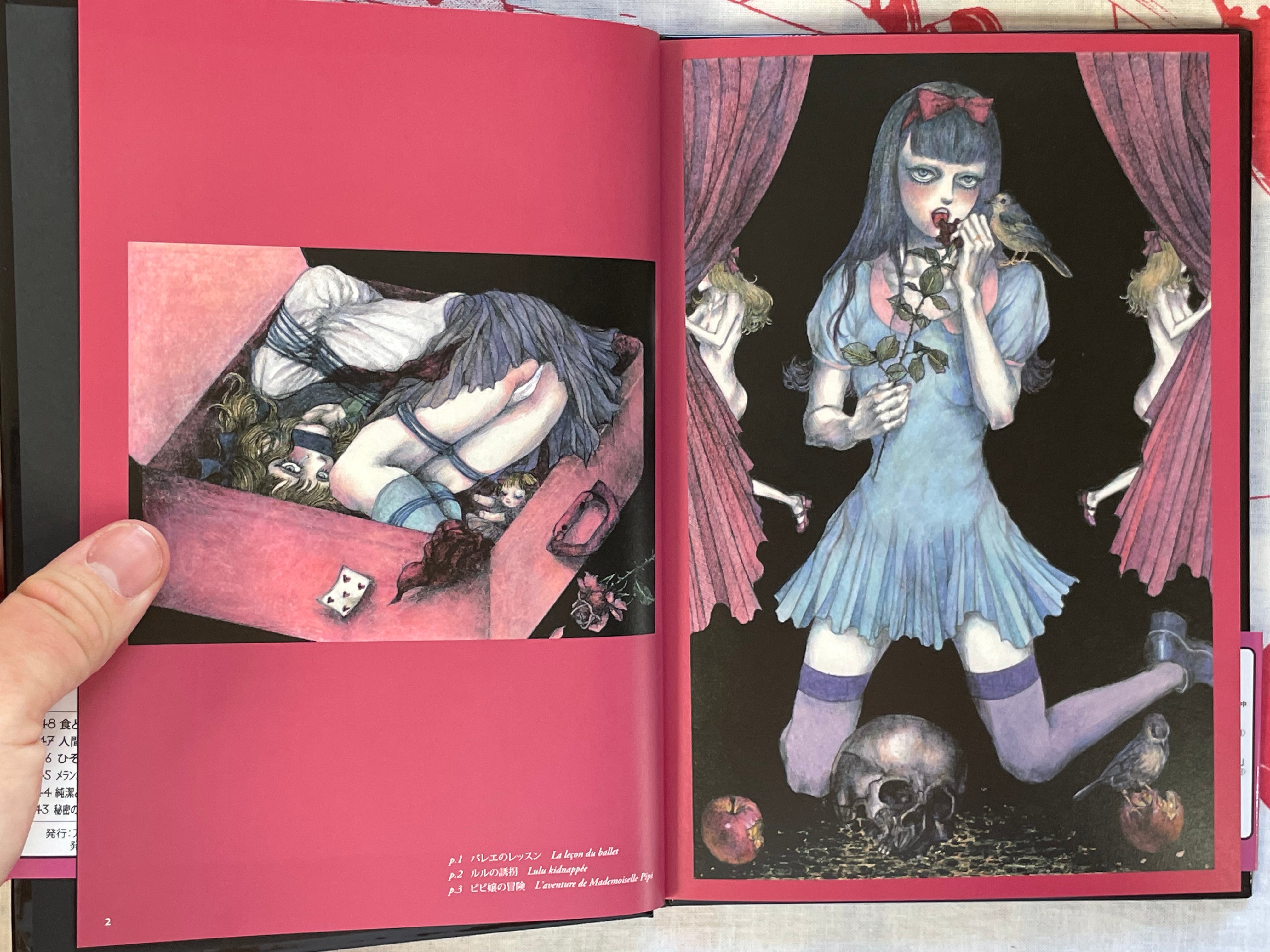 L'aventure de Mademoiselle Pipi by Saori Furukawa (2011)