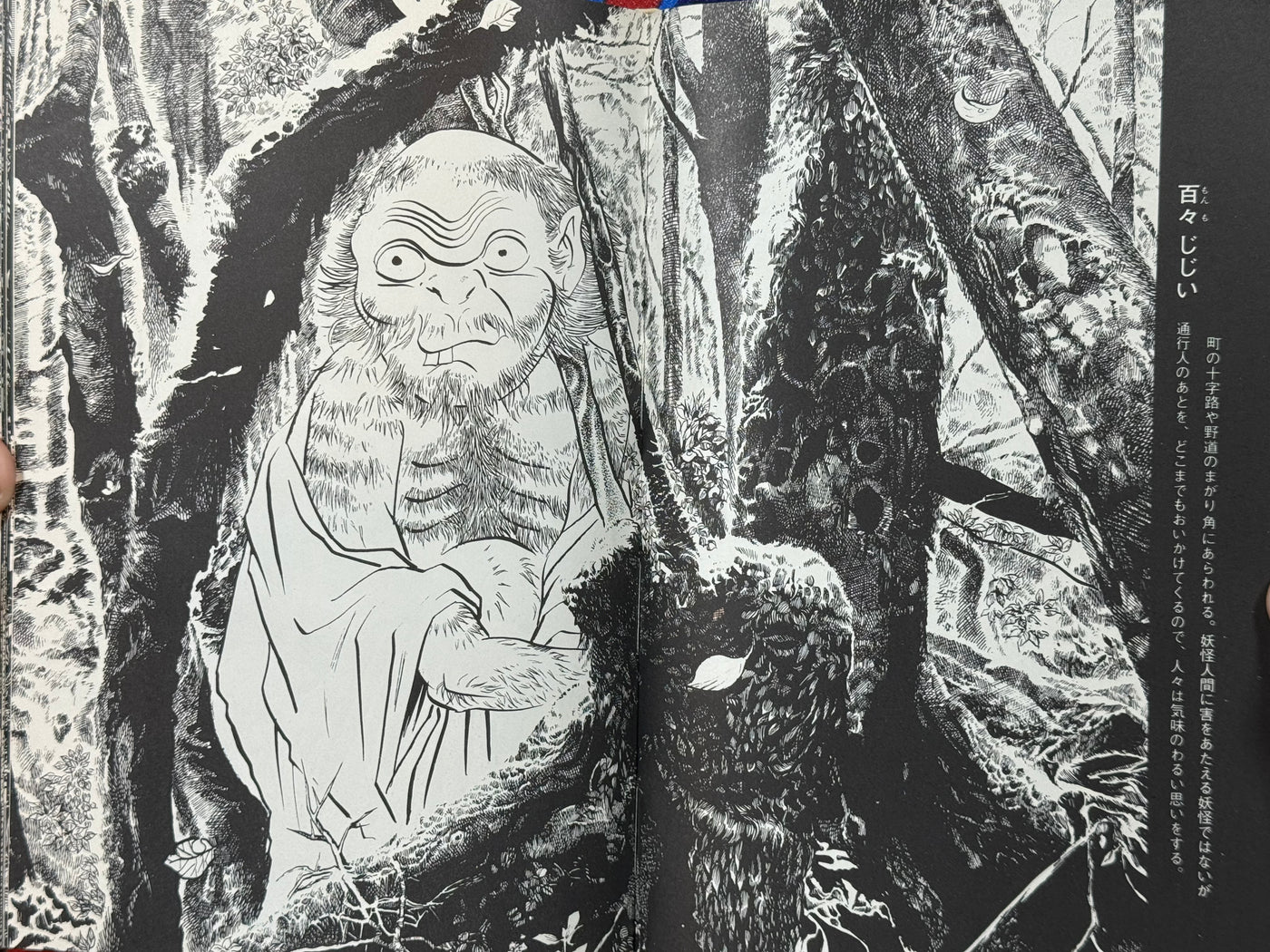 Mizuki Shigeru Yokai Art Collection w/ Slipcover (1970)