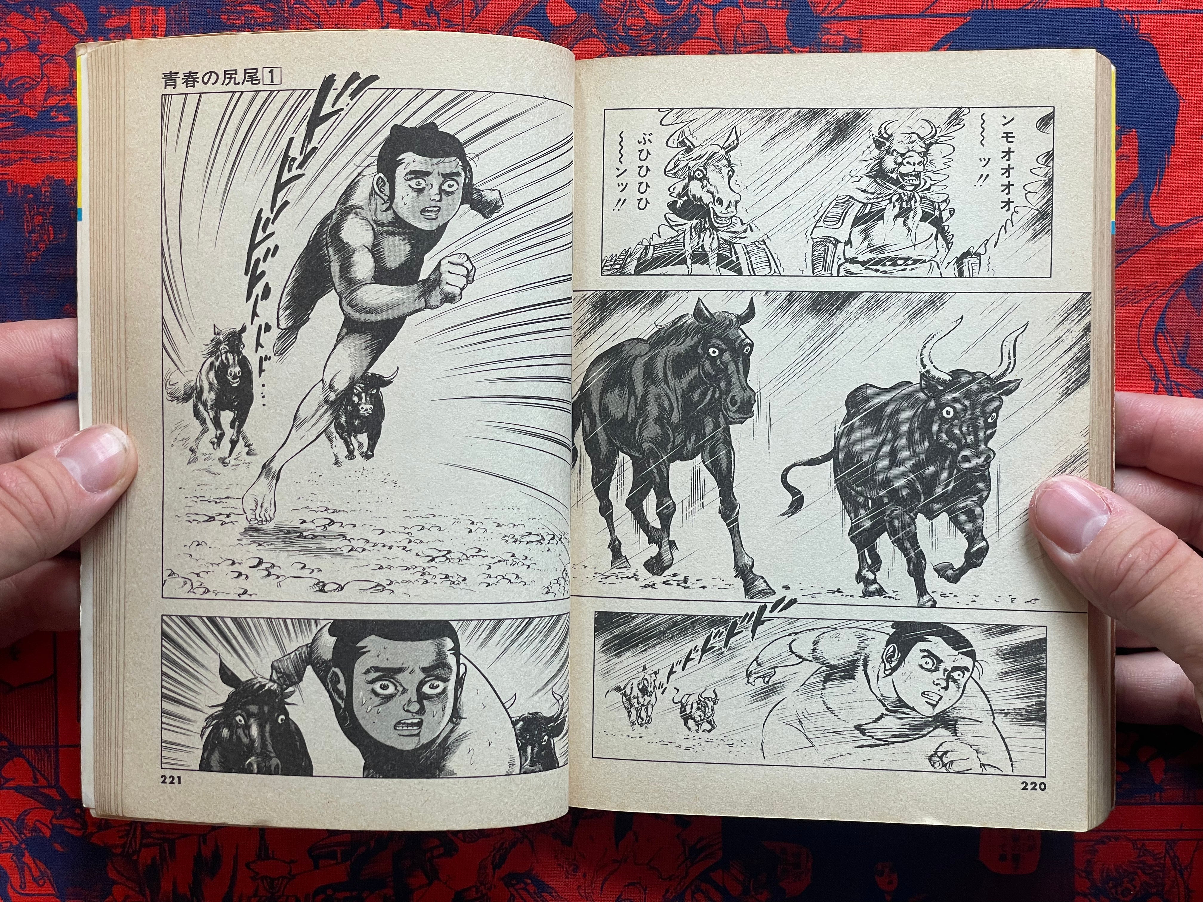 Tail of Youth 1-6 Full Set by Kazuo Koike (1978)-thumbmail-23