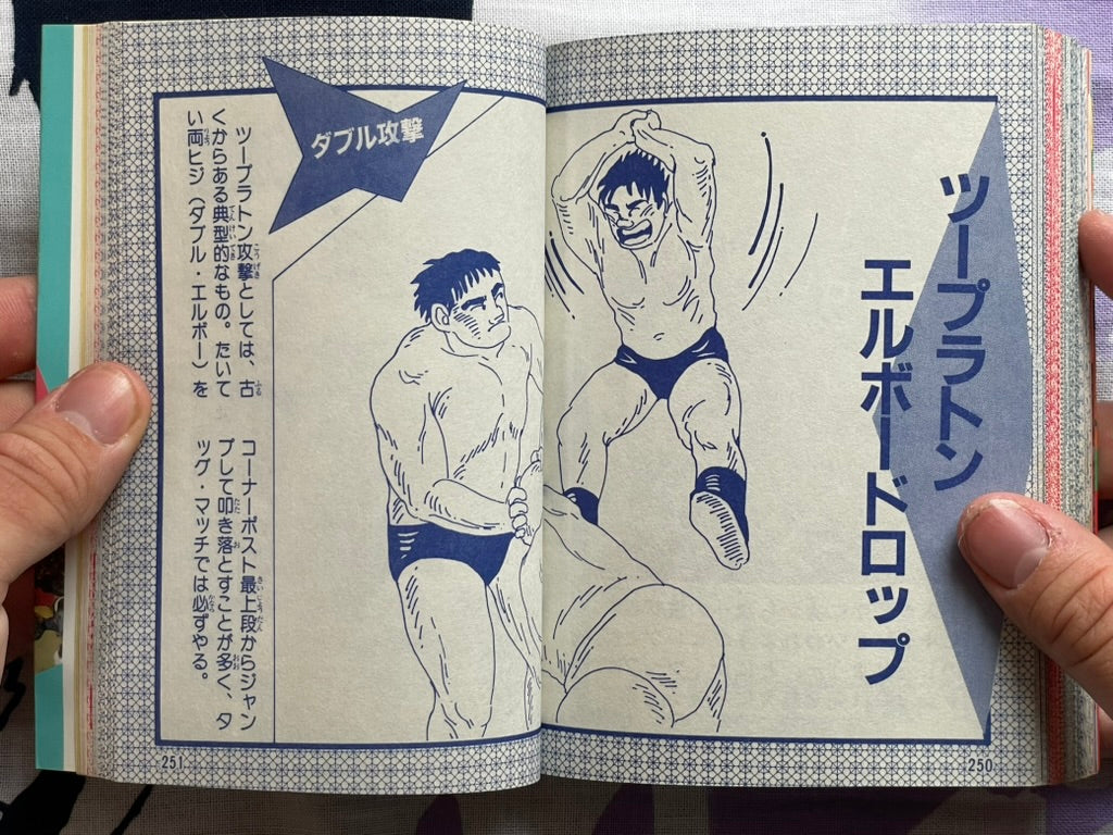 Pro Wrestling Finishing Move Encyclopedia - Bunko Edition (1984)