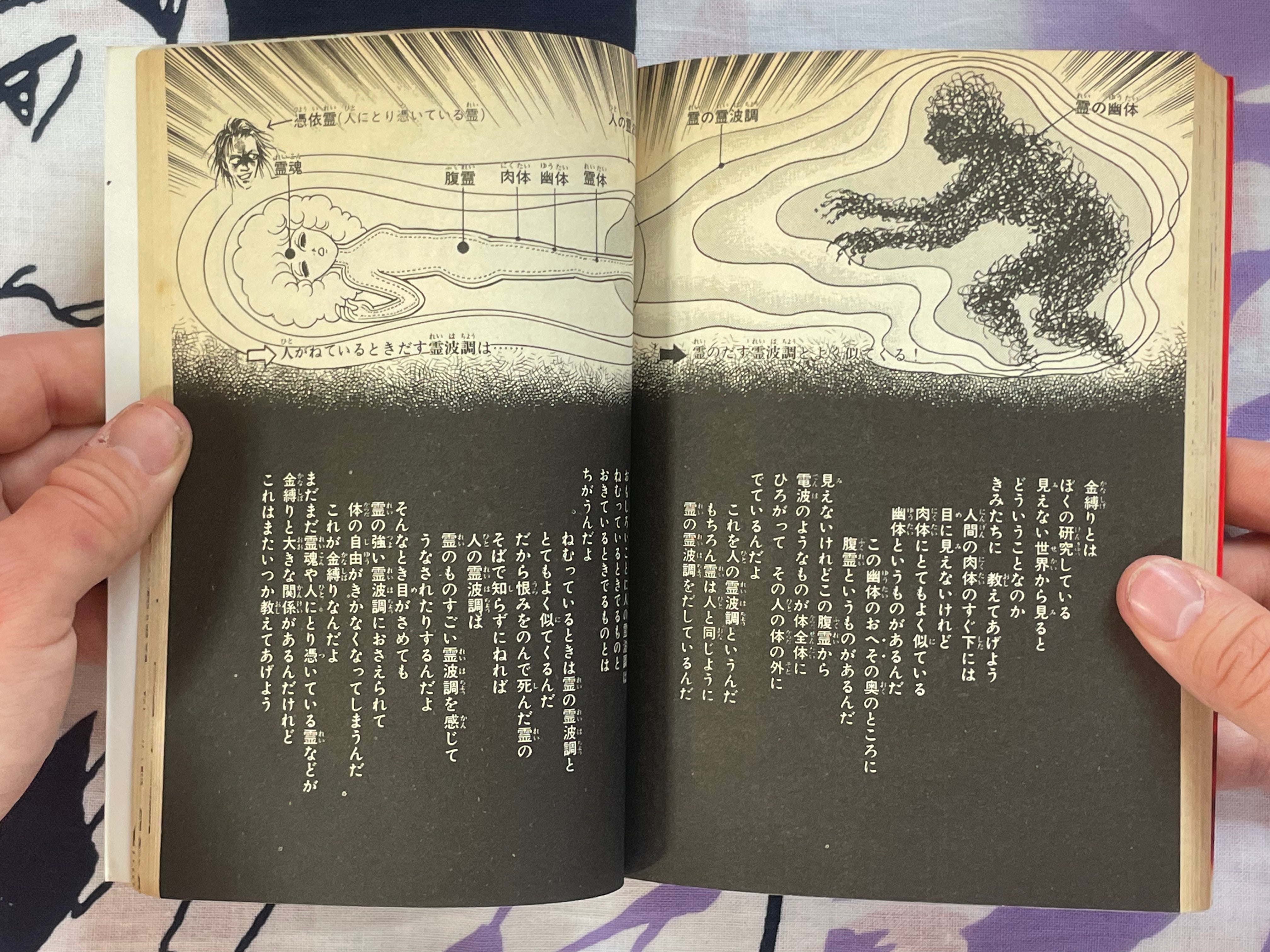 Sleep Paralysis Comes by Minoru Kuroda (1986)