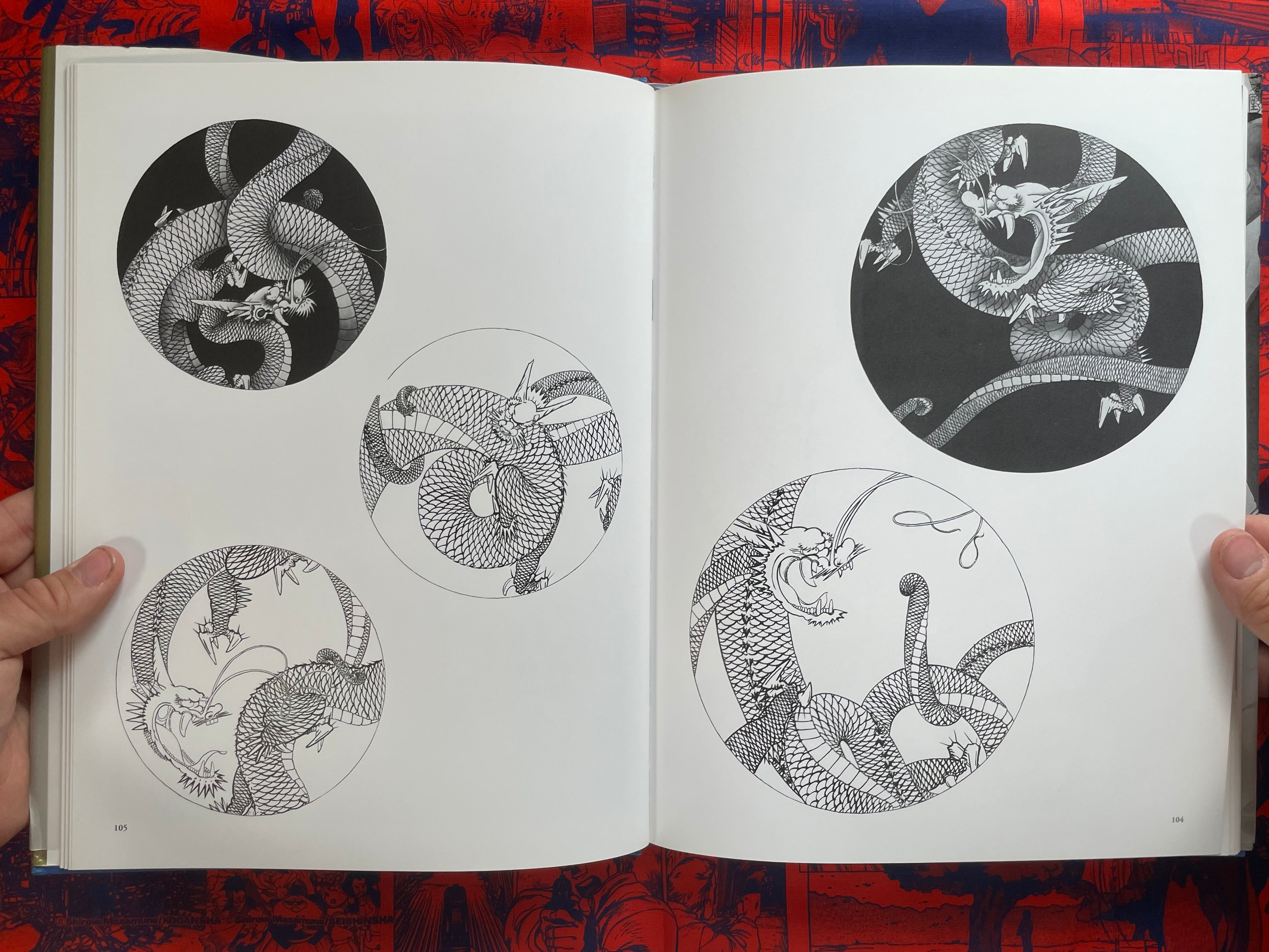 Tansai: Art of 100 Dragons - hardcover by Terano Tansai (2011)