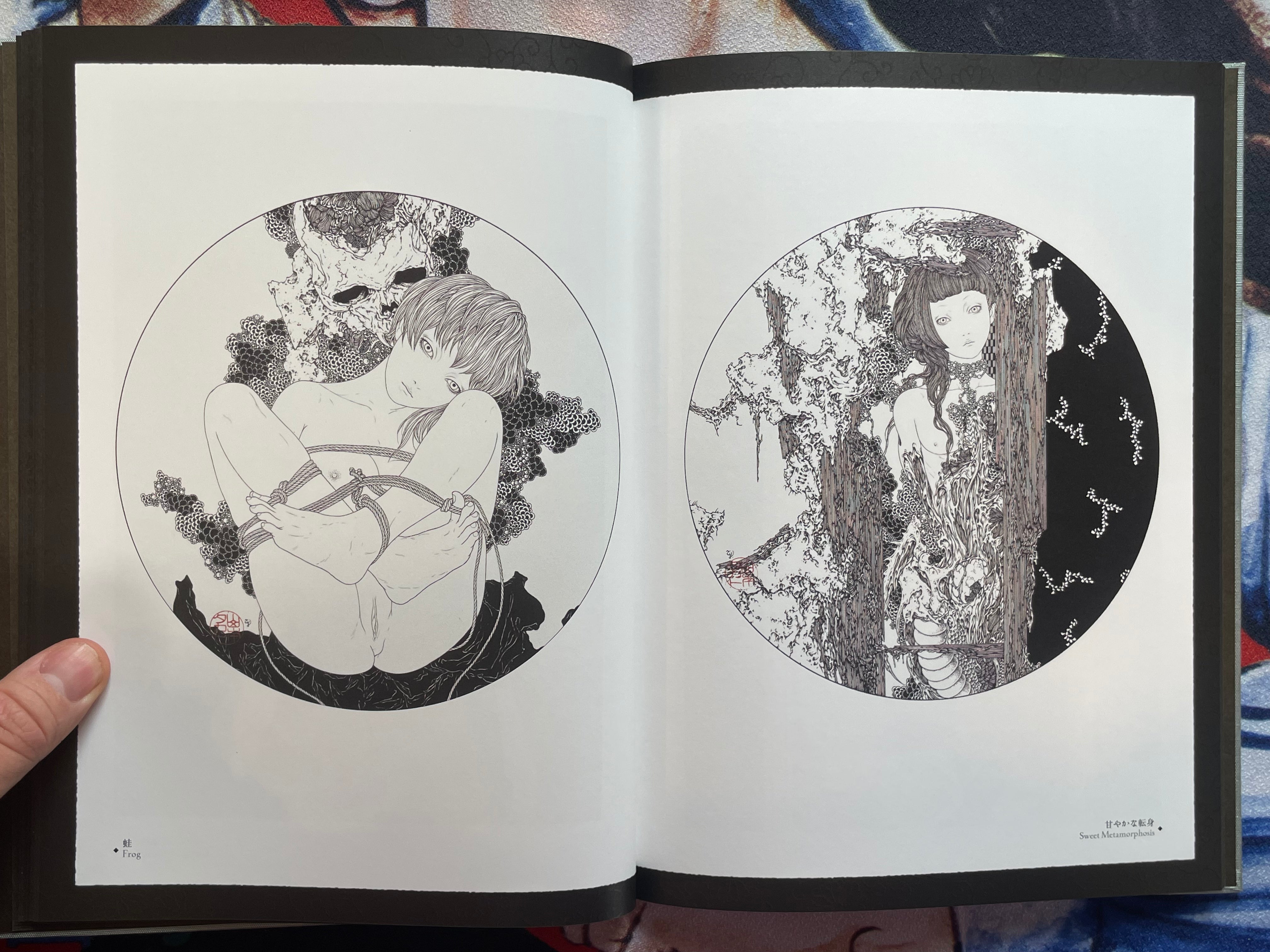 SIGNED Coffin of a Chimera by Yamamoto Takato - Hardcover + Slipcover (2024)