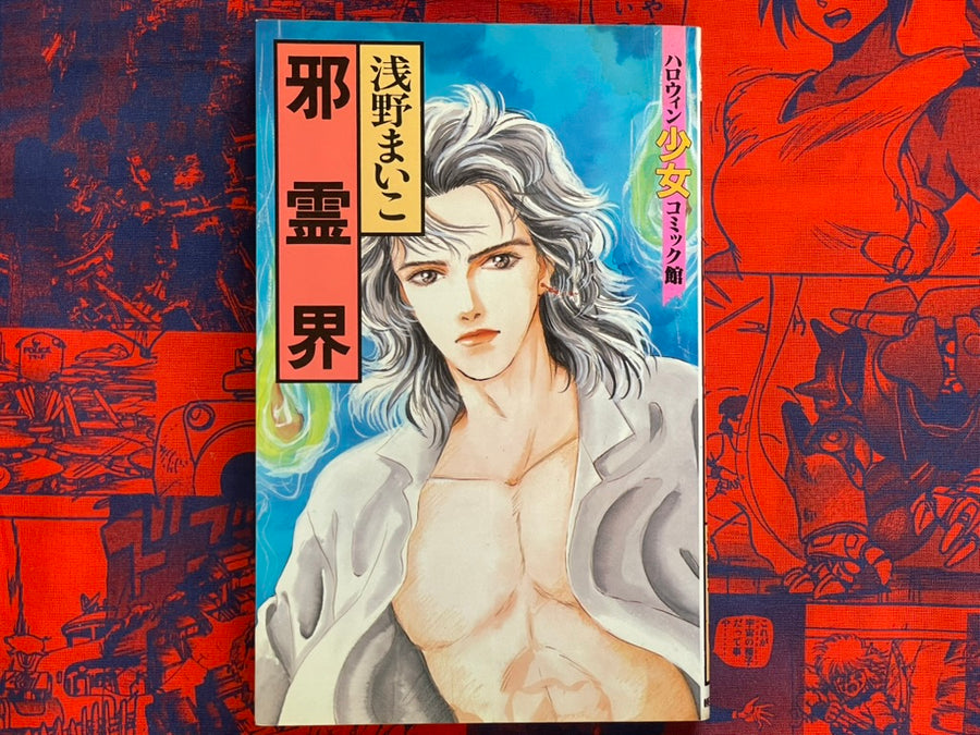 Evil Spirit World by Maiko Asano (1992)