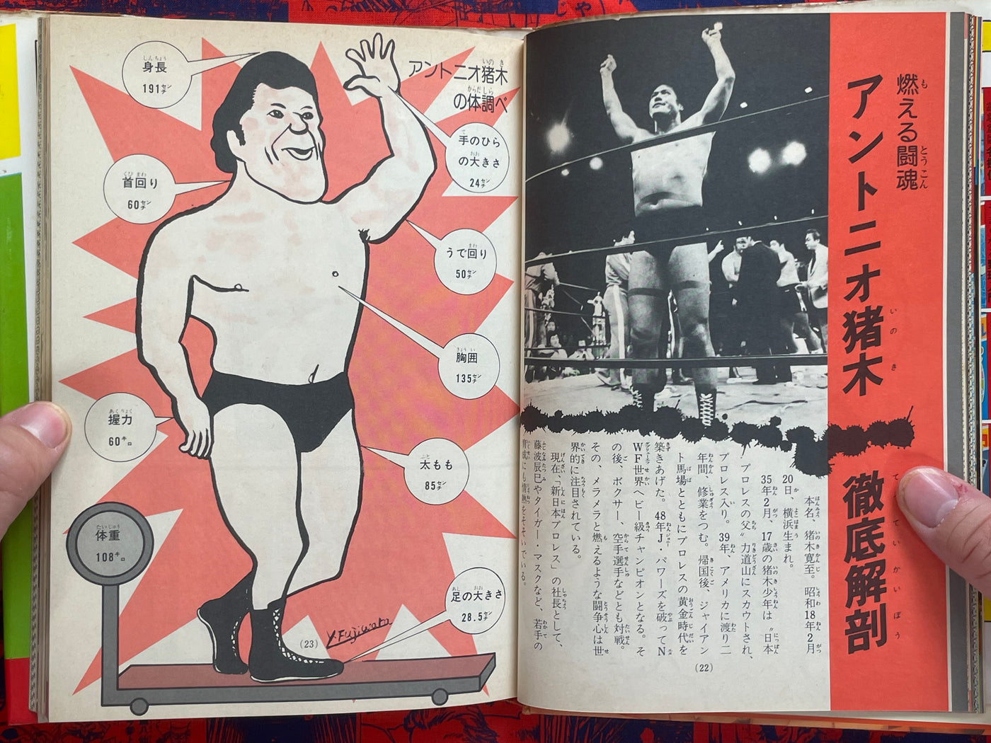 Pro Wrestling Surprise Encyclopedia - Hardcover by Big Wrestler (1982)