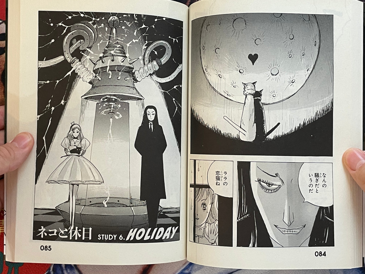 Dr. Inferno Meets The Cat by Ochazukenori (2019)