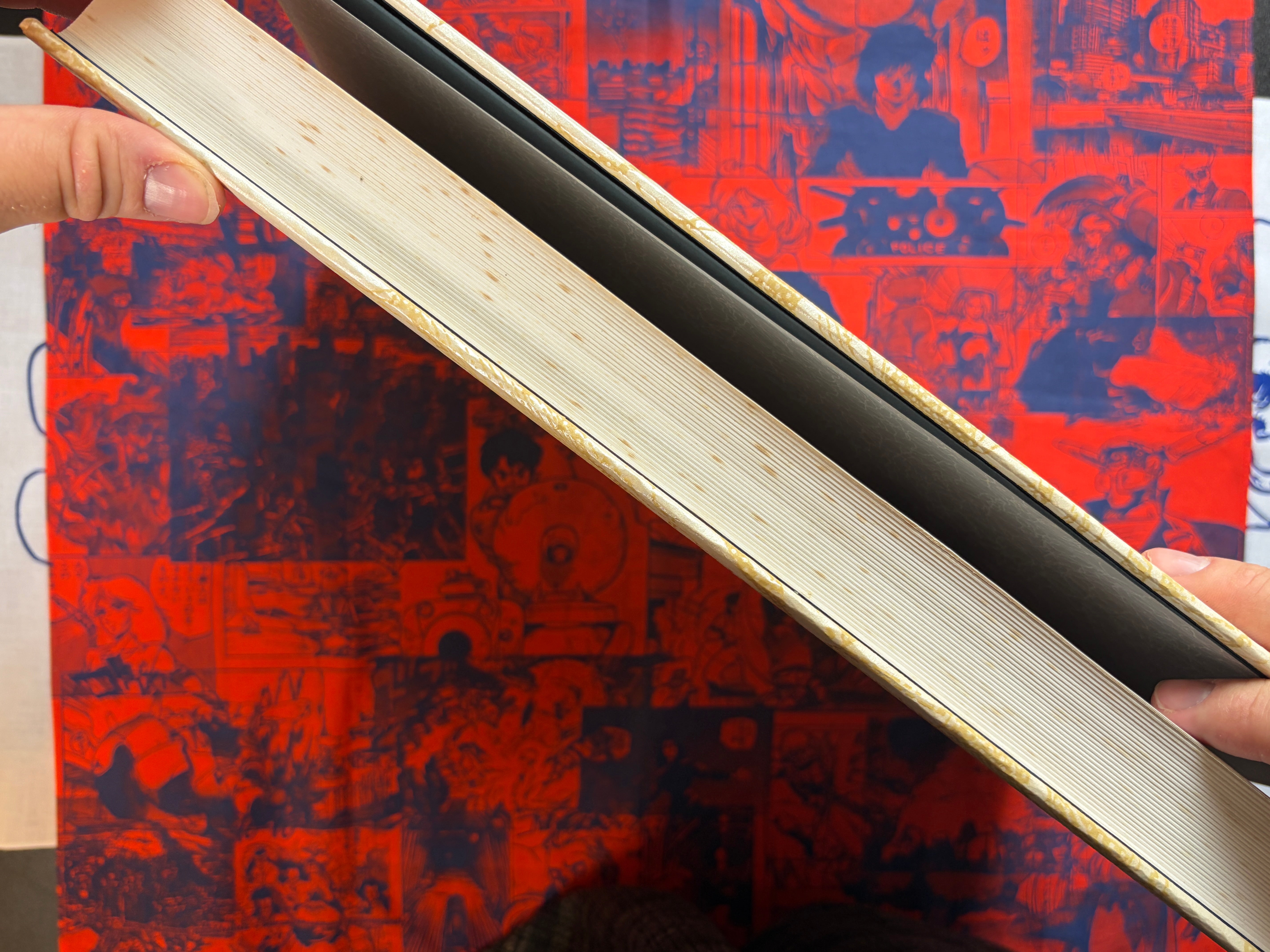 Domu Deluxe Edition (Limited 5000) by Katsuhiro Otomo-thumbmail-9