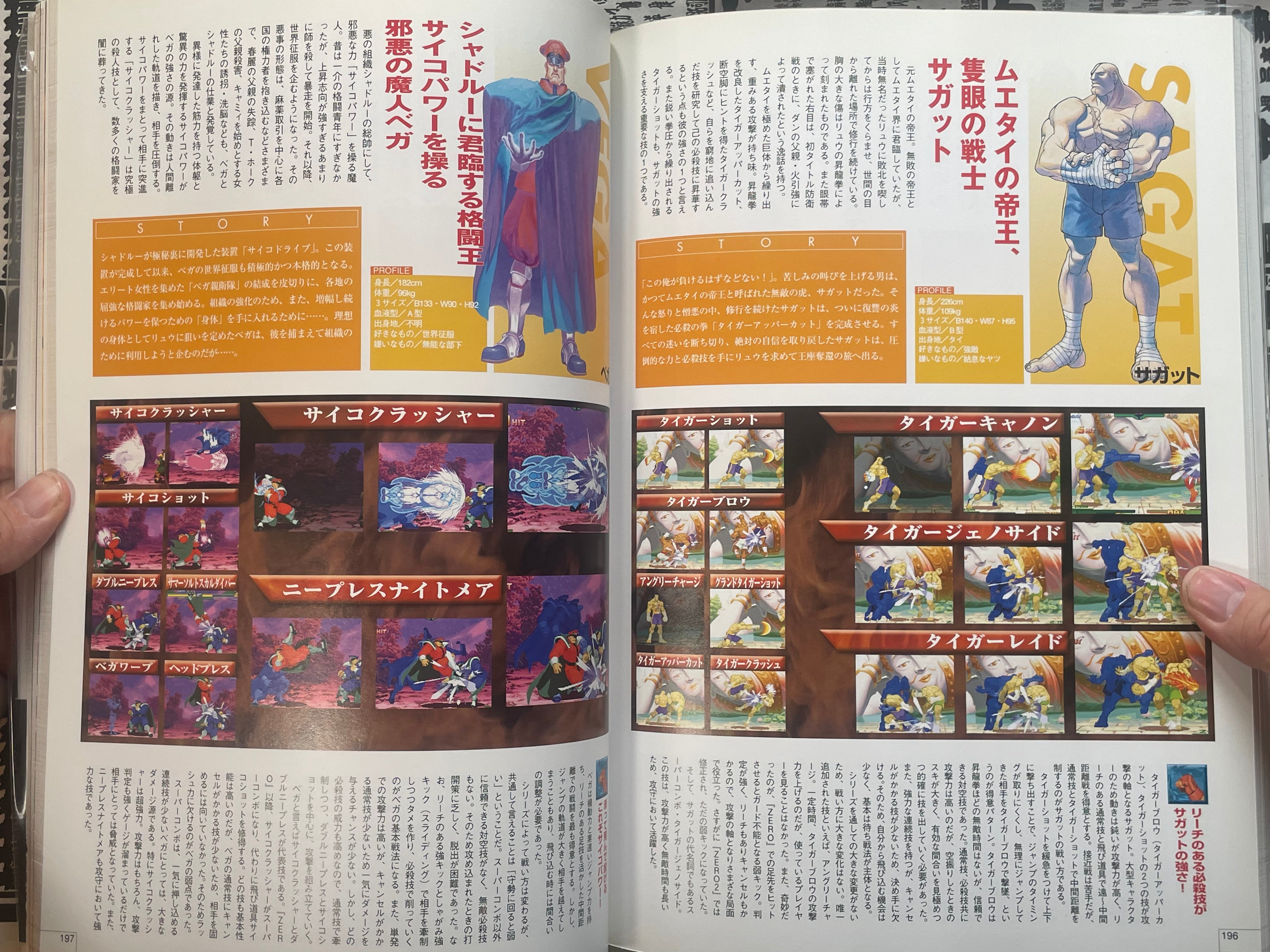 Street Fighter Eternal Challenge by Capcom (2003)-thumbmail-19