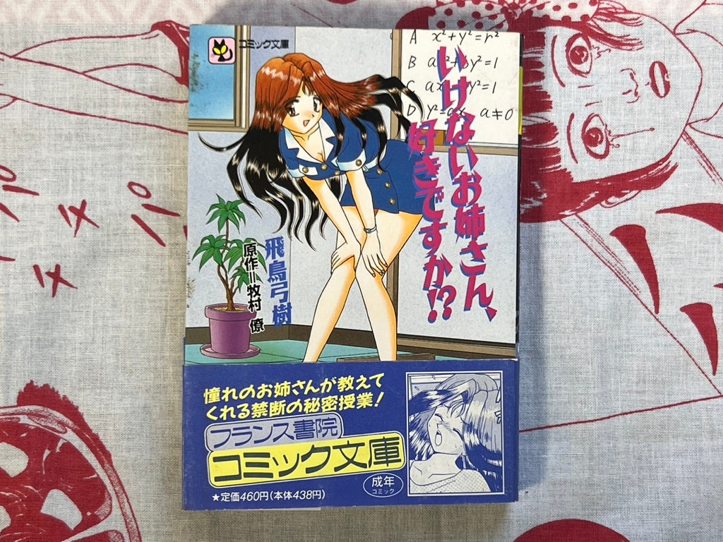 Do You Like Bad Big Sisters!? - bunko size by Asuka Yumiki (1996)